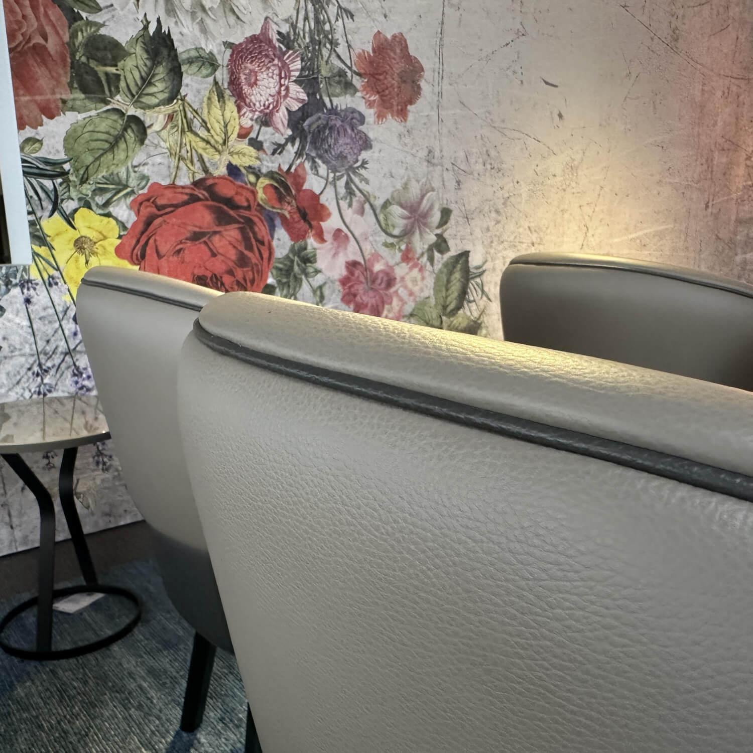 Wittmann - 4er Set Stuhl Morton 22194 Leder Toro Taube Braun Grau Füße Esche Schwarz Lackiert - 6