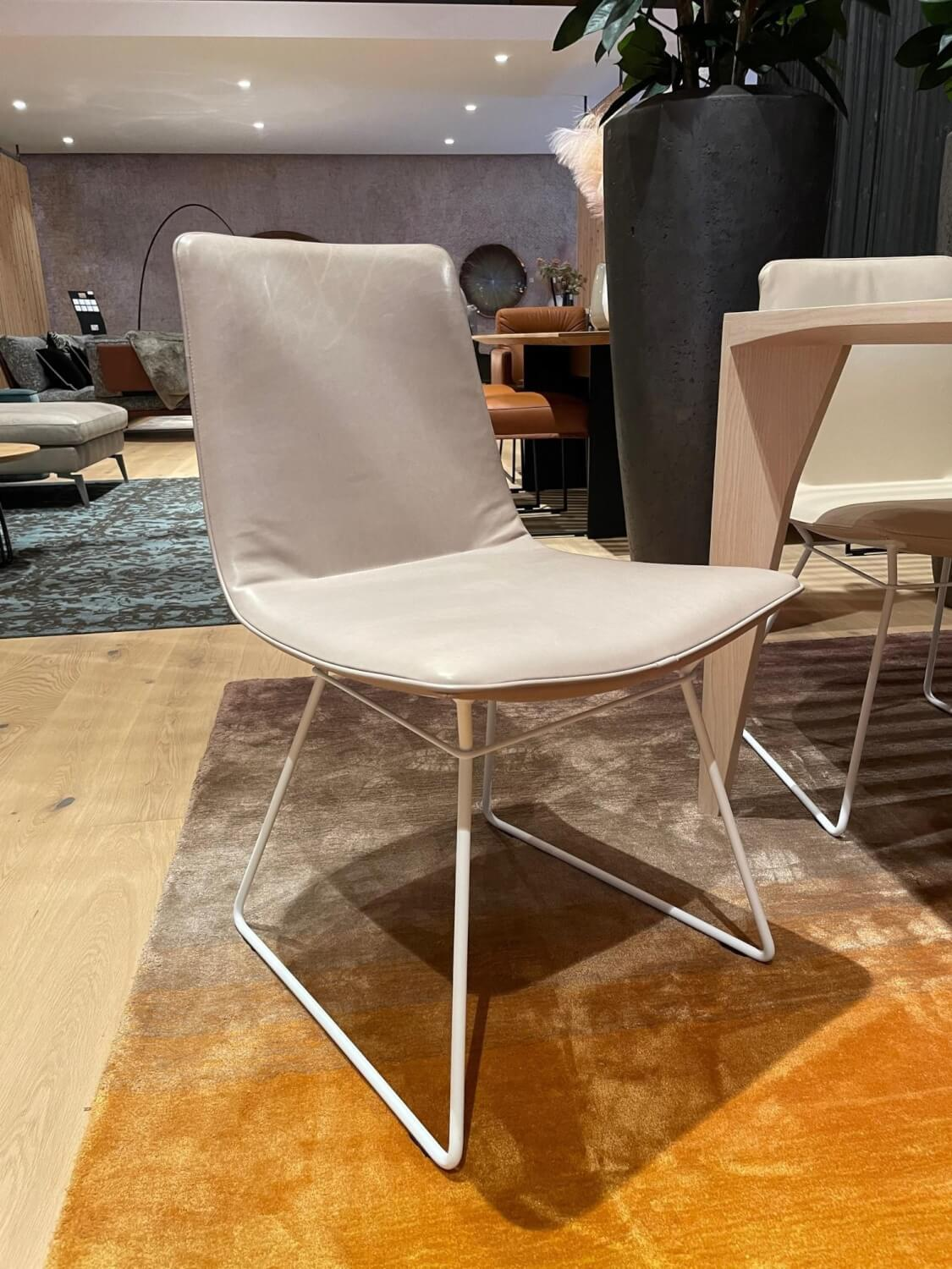 6er-Set Stuhl Amelie Leder Oman Taupe Creme Gestell Weiß Pulverbeschichtet