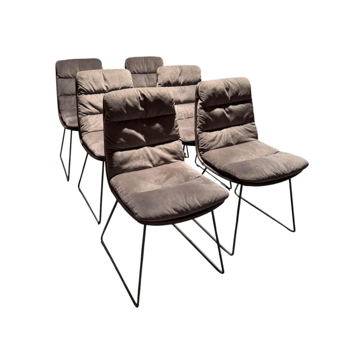 KFF - 6er Set Stuhl Arva Leder Dakota 6006 Grey Drahtkufengestell Metall Eisenblank Grau Lackiert - 1