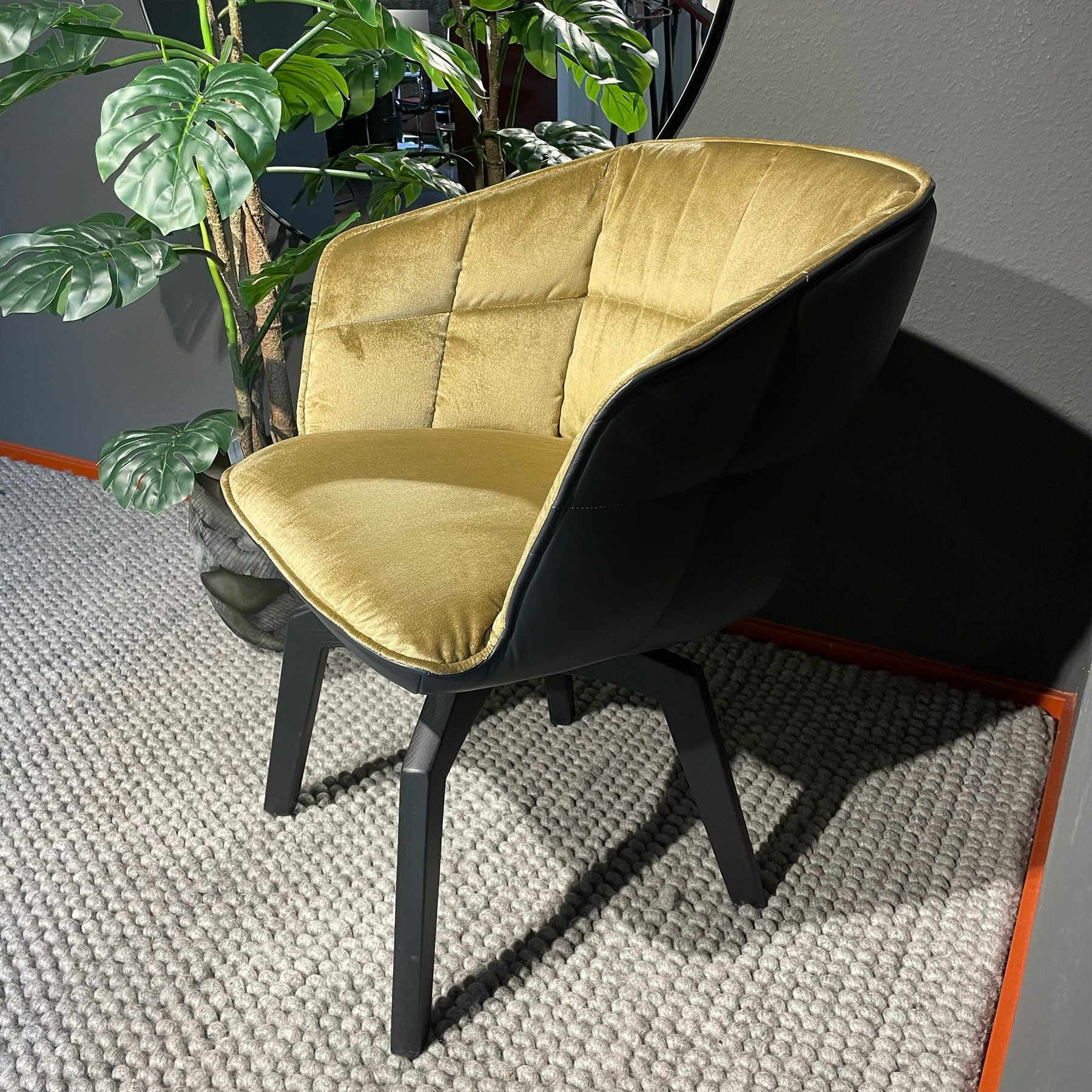 Freifrau - Armlehnstuhl Marla High Innen Stoff Avalon 21 Gold Gelb Leder Opium Carbon Schwarz Gestell Eiche Schwarz - 3