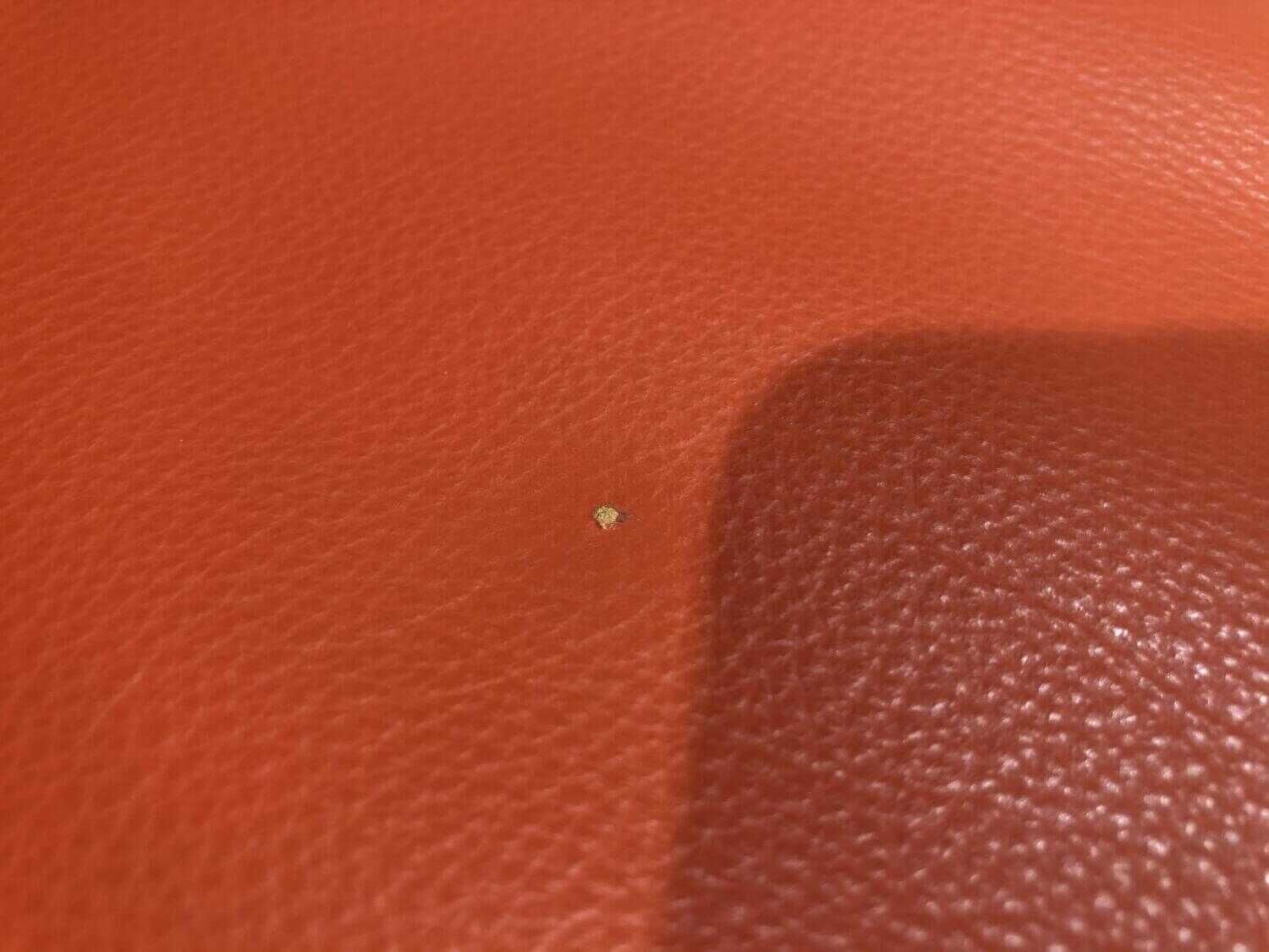 Calia Italia - Sessel Hip Hop F5225-A32 PRM830 Leder 1525 Orange - 4