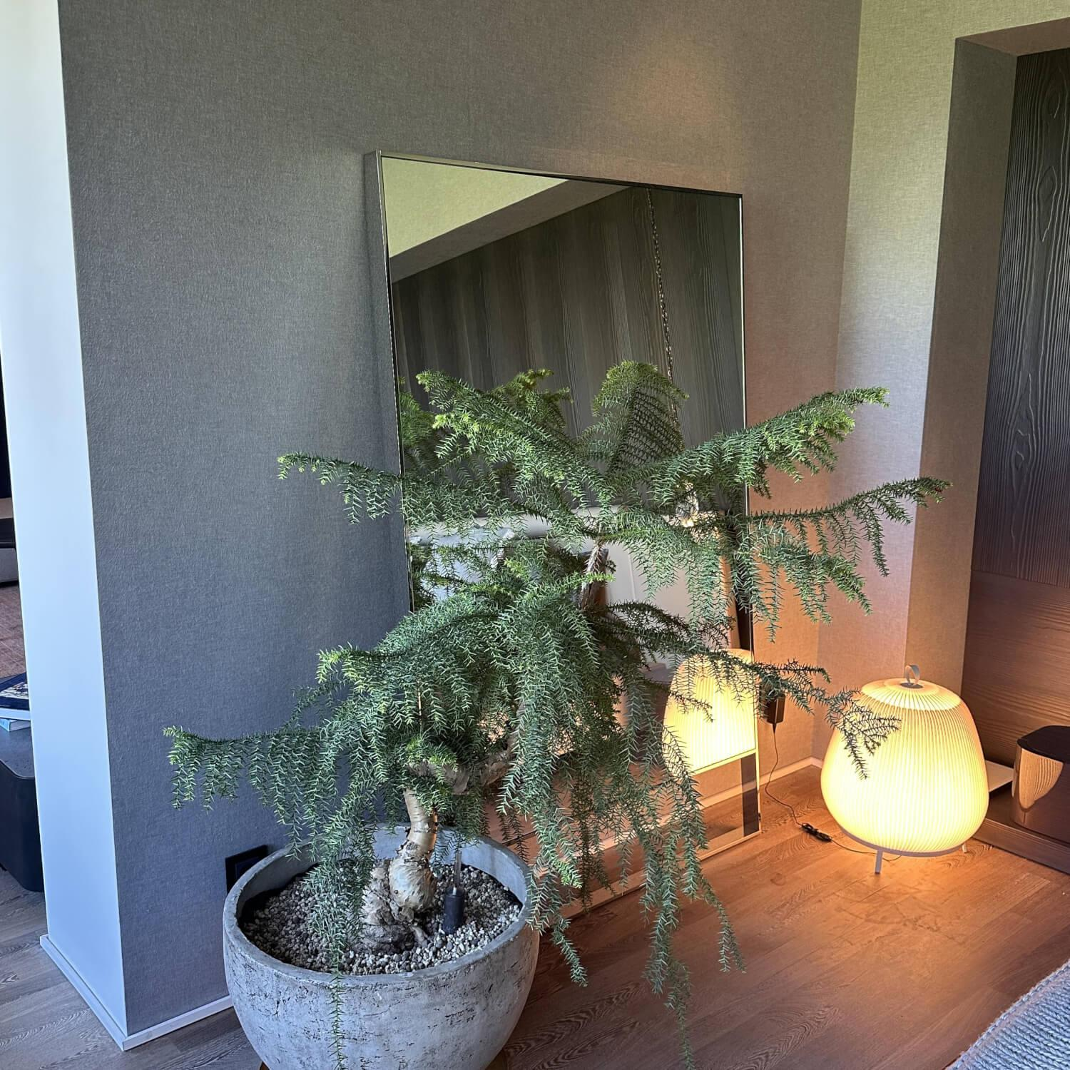 Maxalto - Spiegel Psiche Rahmen Metall Chrom Silber - 2