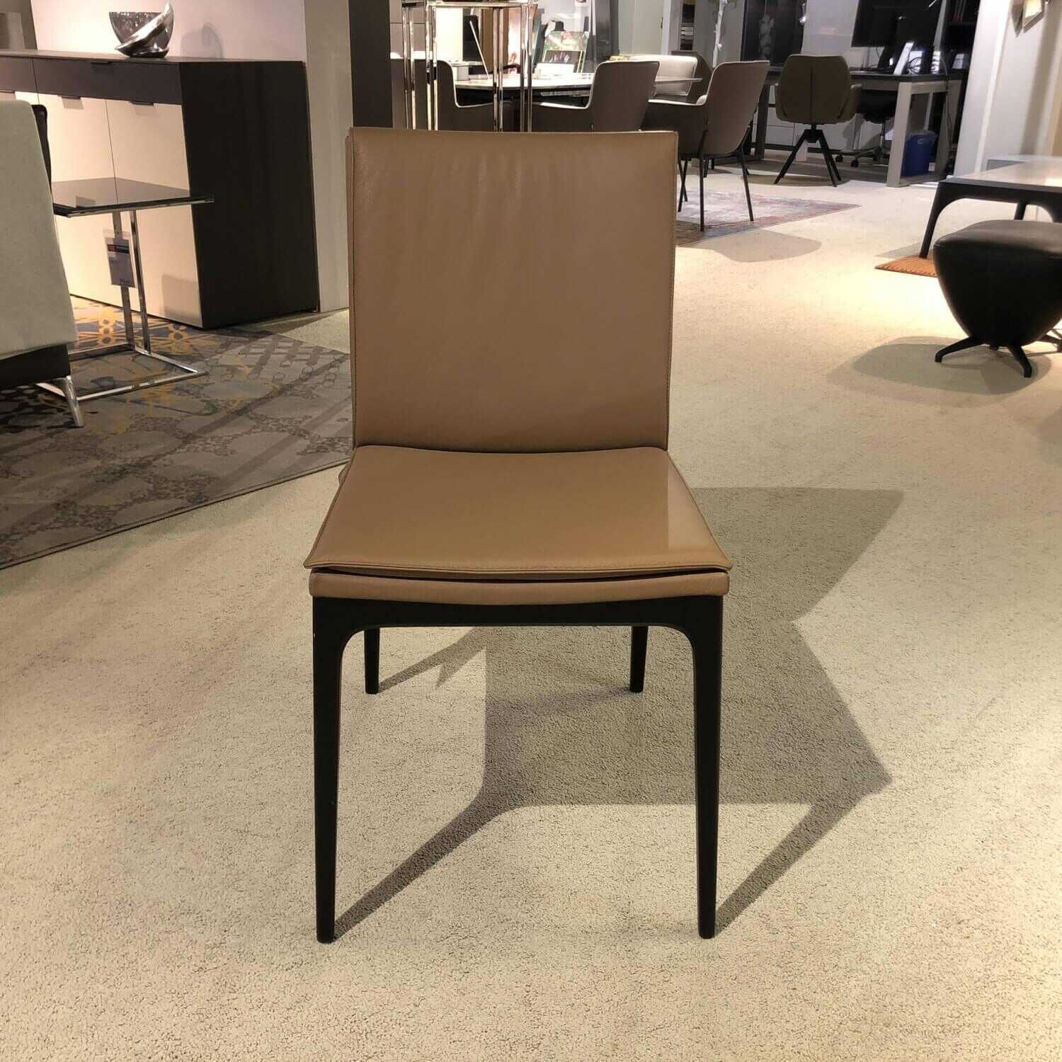 Cattelan Italia - 6er-Set Stuhl Sofia Leder 981 Biscotto Beige Füße Holz Schwarz Lackiert - 9