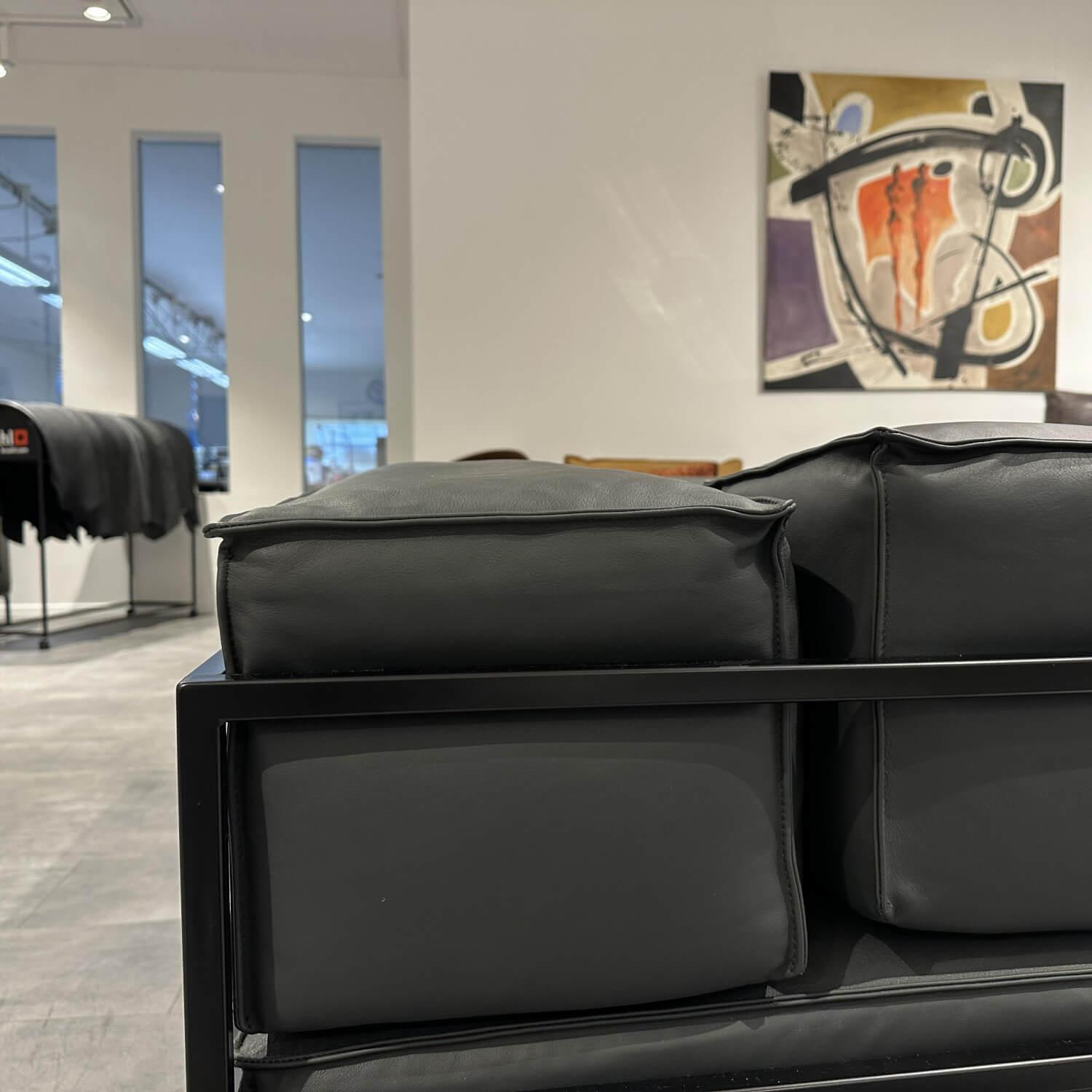 Brühl - Sofa Easy Pieces 2 Leder La Plume 5663 99 Anthrazit Rahmen Schwarz Pulverbeschichtet - 6