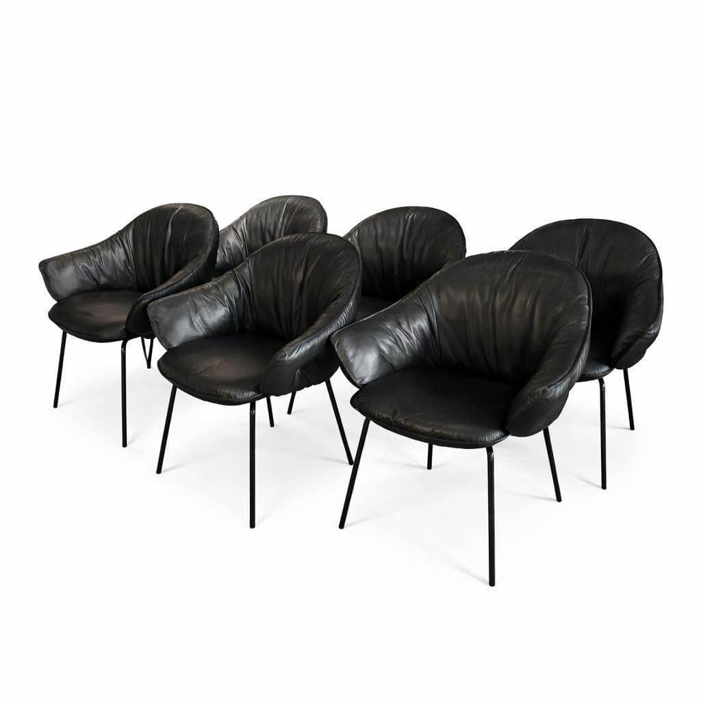 Freifrau - 6er Set Armlehnstühle Marie Leder Adora Ebony 95001 Schwarz Gestell 4-Fuß Stahlgestell Schwarzchrom ME400 - 1