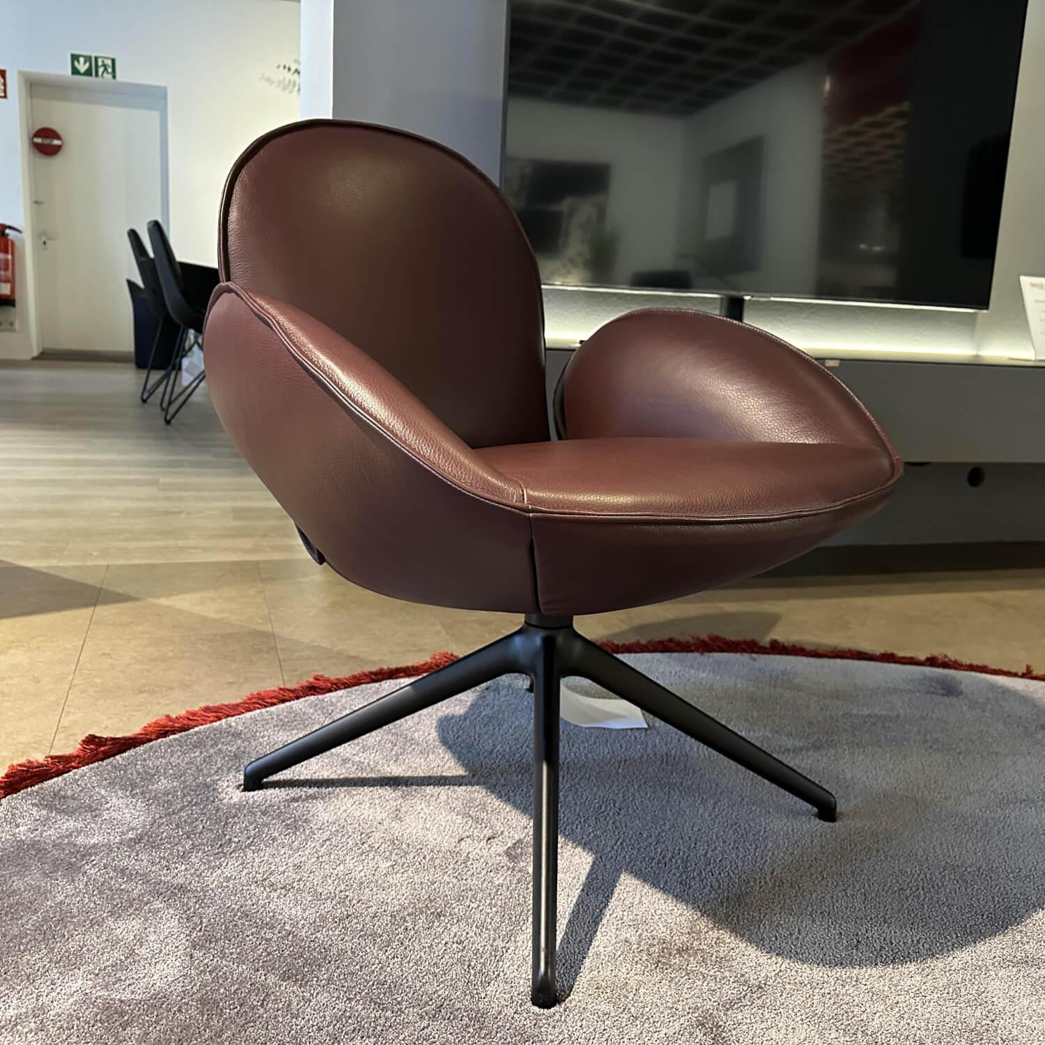 Jori - Sessel Daydreamer Leder Lipano Bordeaux Rot 4-Sternfuß Schwarz - 2