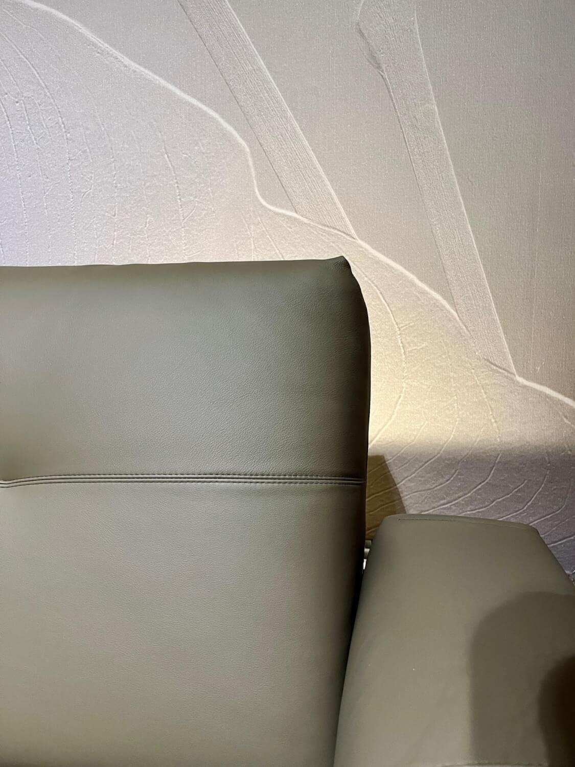 Rolf Benz - Sofa RB50 Leder 38 735 Olivgrau Grün Grau Fuß Stahl Verkehrsschwarz Schwarz Pulverbeschichtet Mit Kissen - 2