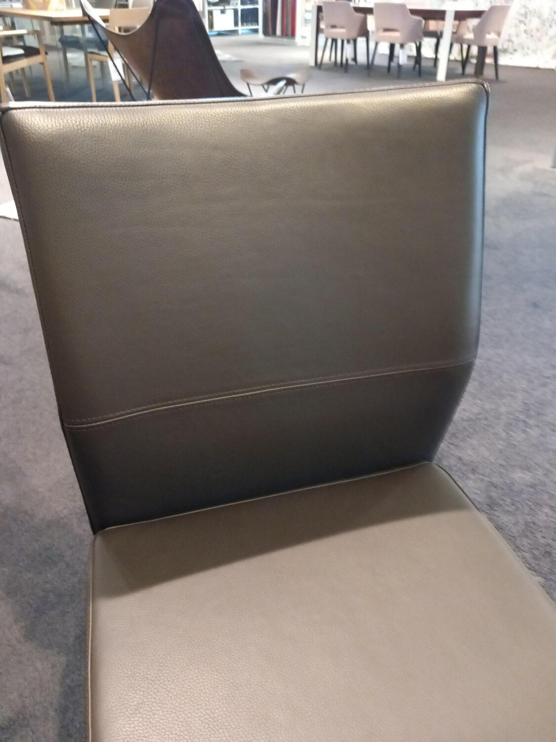 Carega Design - Freischwinger Katy 3 Leder Toledo Braun Gestell Edelstahl Gebürstet - 5