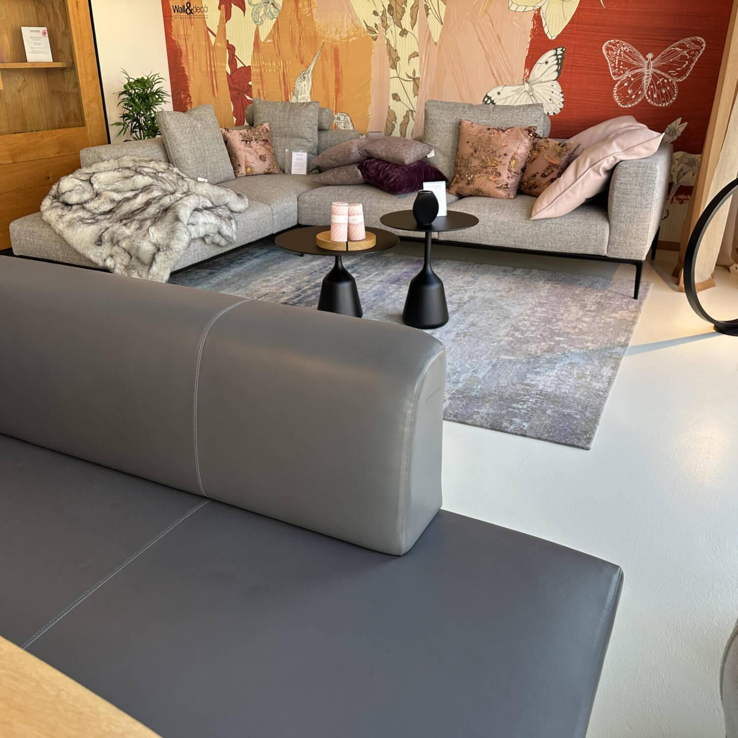 Walter Knoll - Bank Ison Leder 65 Elen 1219 Oyster Grau Gestell Stahl Schwarz Pulverbeschichtet - 7