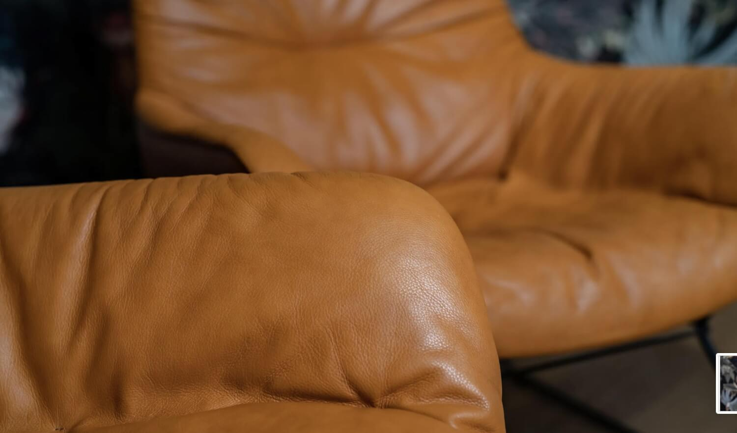 Freifrau - 2-er Set Leya Lounge Chair Leder Sahara Safran 60001 Orange Drahtgestell Schwarz - 2