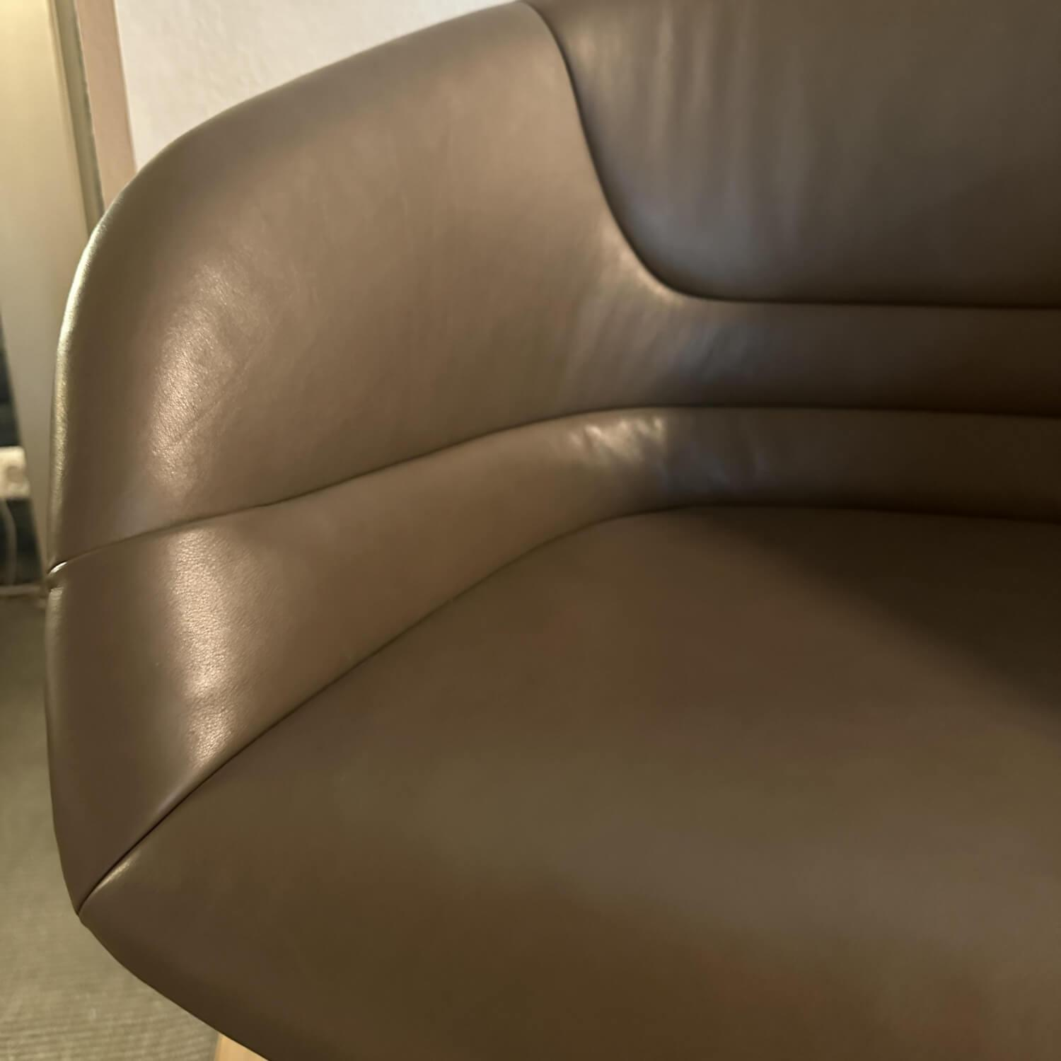 Walter Knoll - Schalensessel Kyo 1342 Leder Elen 1381 Khaki Braun Schale Kunststoff Bronze 4 Fuß Kreuz Aluminium Bronze - 5