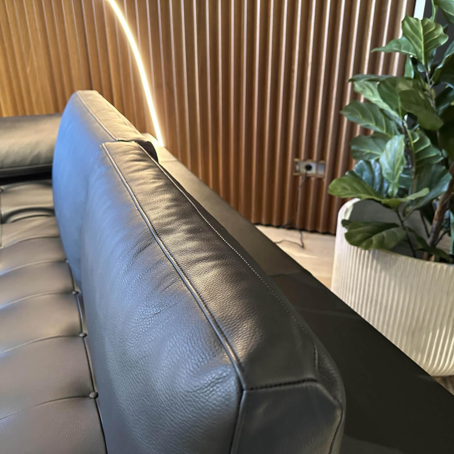 Bielefelder Werkstätten - Liege Campus De Luxe Leder Galaxy IP0140-000 Schwarz Inklusive Rückenkissen Und Nierenkissen - 5