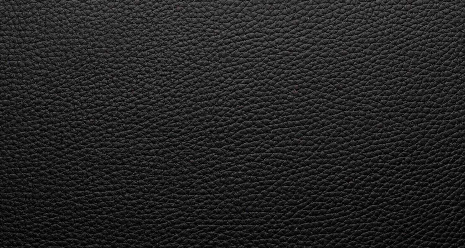 De Sede - Sofa DS-2011/02 Zweisitzer Leder Living Schwarz - 3