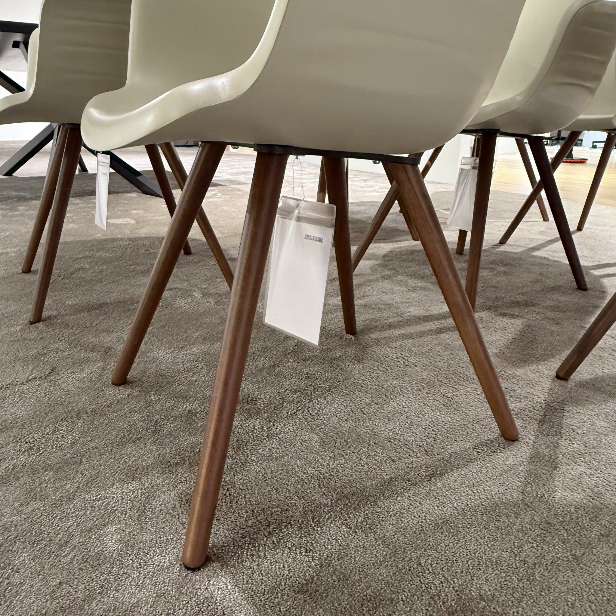 Cattelan Italia - 8er Set Armlehnstuhl Indy Schale Polyurethan Lino Beige Gestell Buche Gebeizt - 7