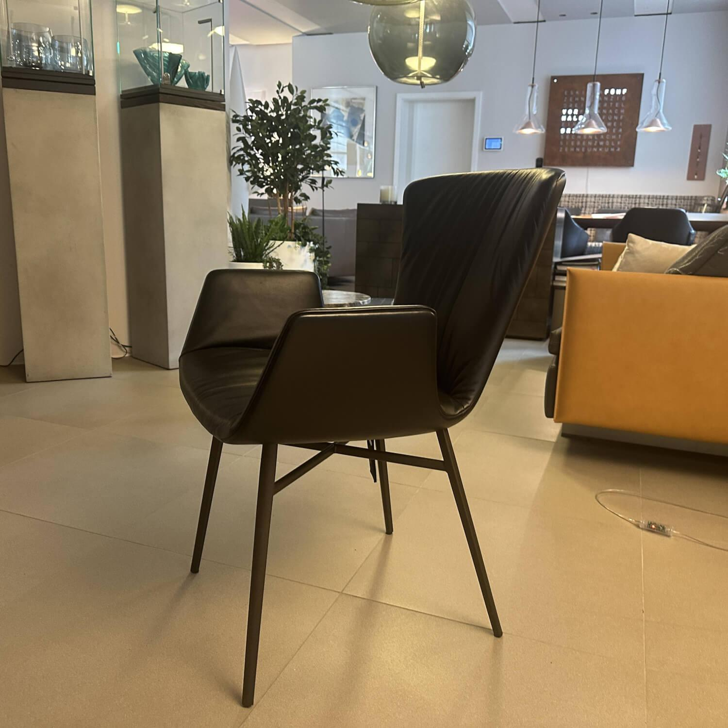 Draenert - Stuhl Dexter 2058 Leder II Elmosoft 93068 Braun Gestell Stahl Schwarz - 2