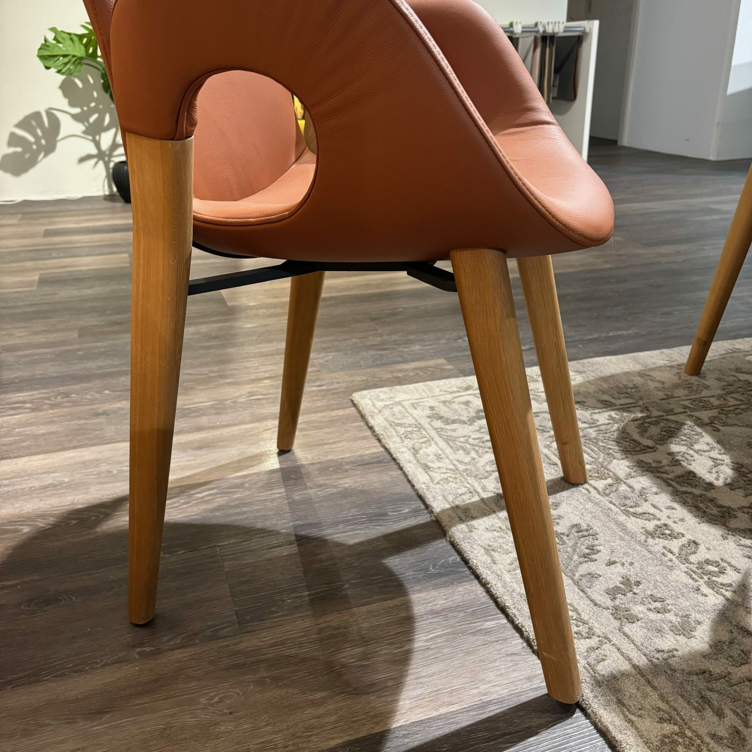 Hartmann - 6er-Set Harta Jasper Leder 22 Cognac Braun Kerneiche Umato - 5