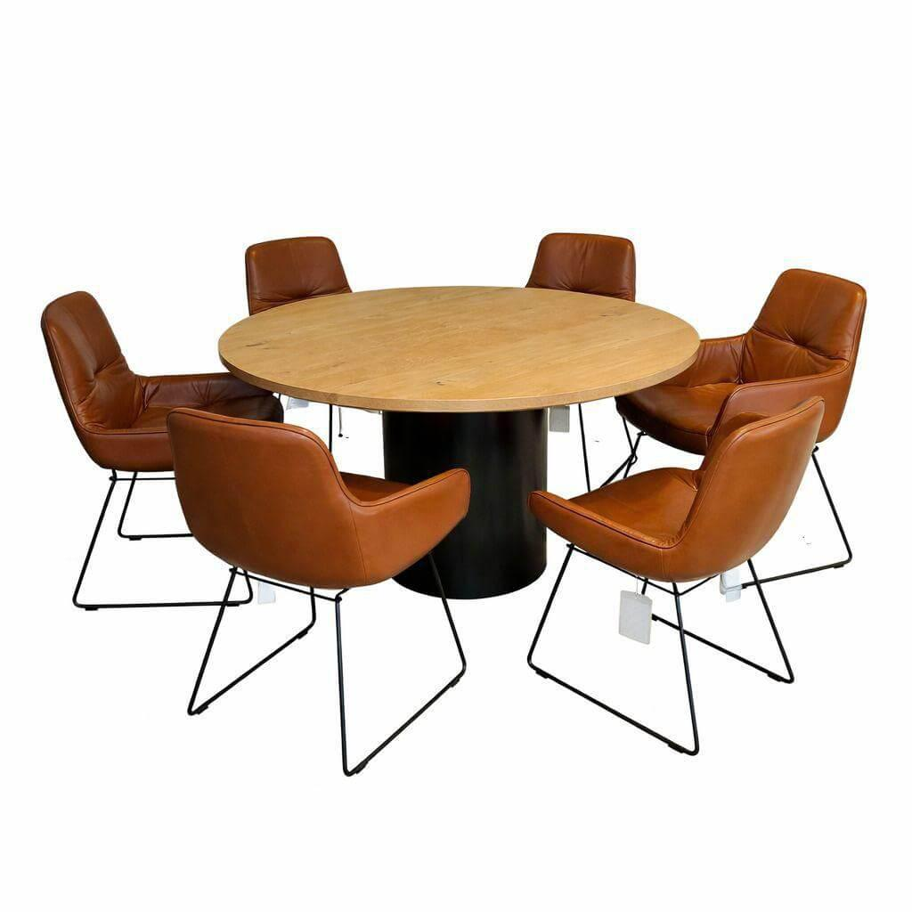 Freifrau - 6er Set Stuhl Leya Armchair 4 Stühle Low ohne Armlehne 2 Stühle High mit Armlehne Leder Opium Cognac Braun Gestell Metall Pulverbeschichtung Feinstruktur Matt Dunkelbraun - 1