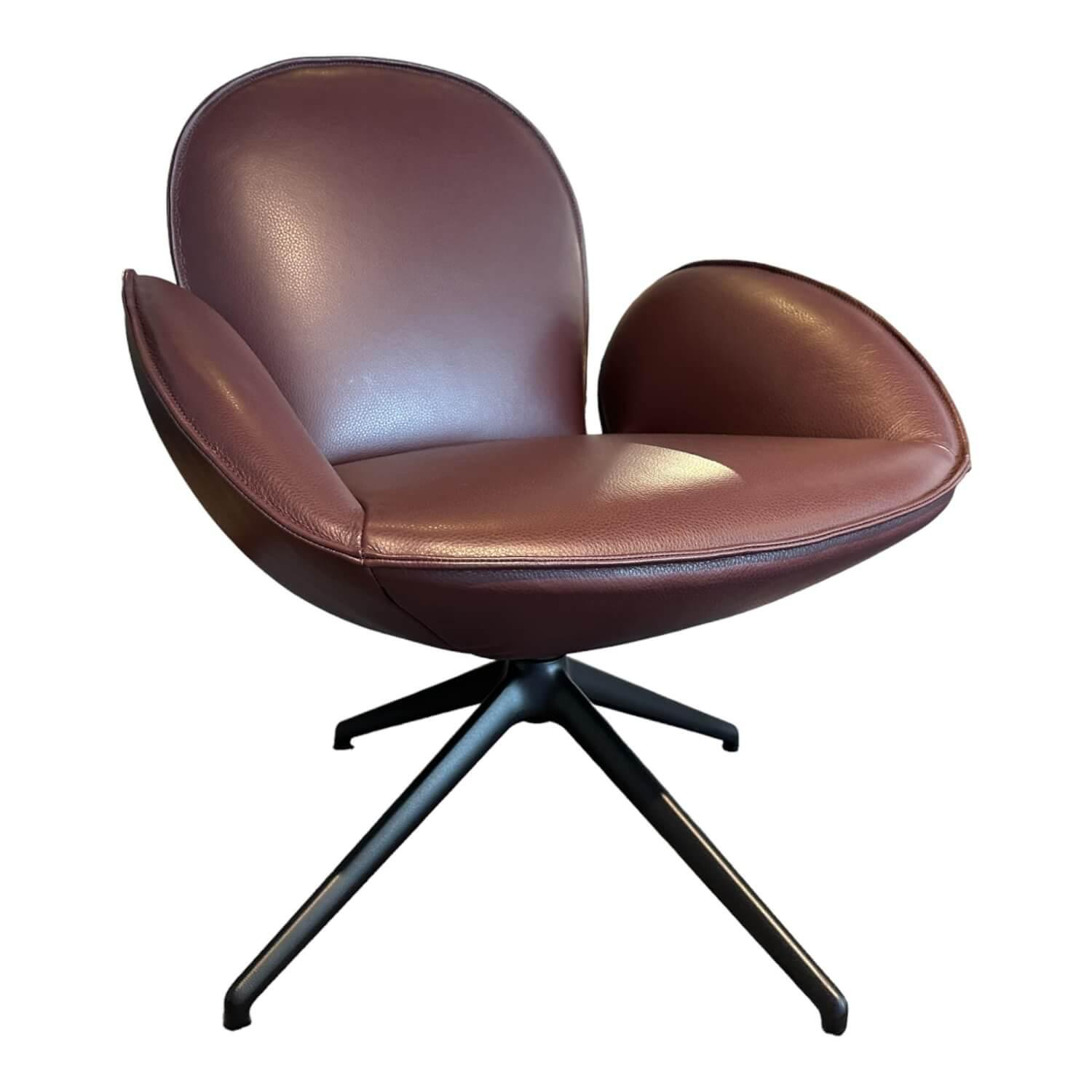 Jori - Sessel Daydreamer Leder Lipano Bordeaux Rot 4-Sternfuß Schwarz - 1
