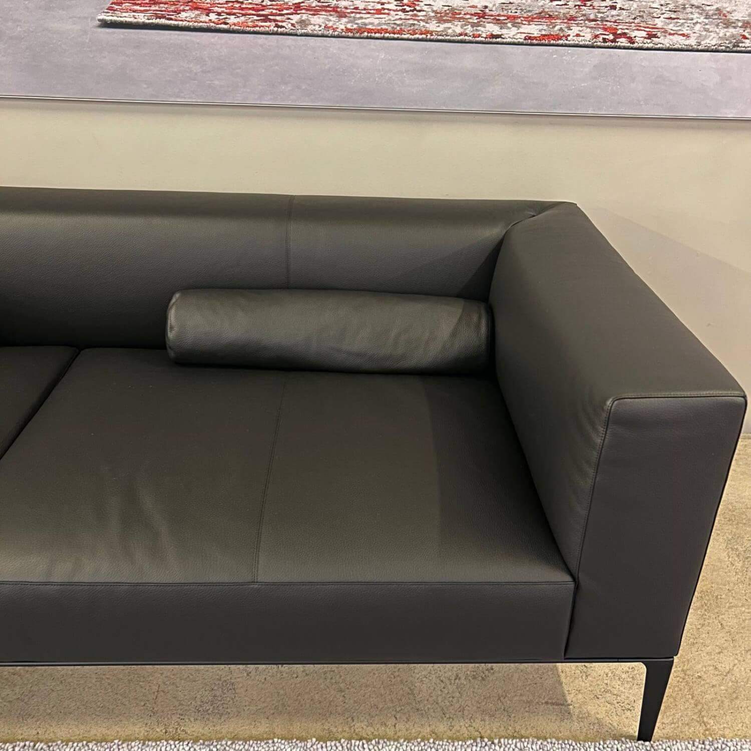 Walter Knoll - Sofa Jaan Living 782 30 Leder Palladio Nero Schwarz Gestell Aluminium Schwarz Matt Pulverbeschichtet - 2