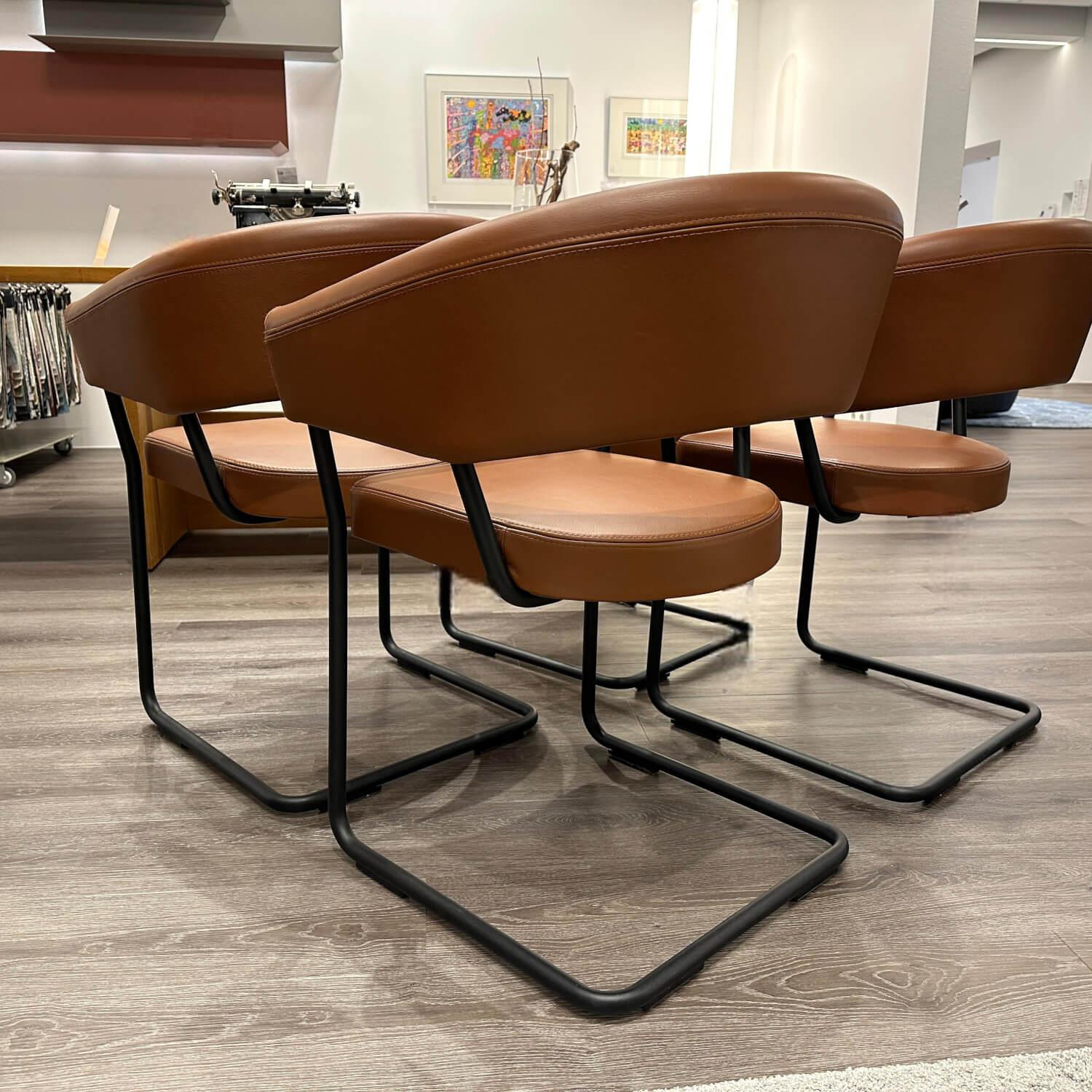 Tecta - 4er-Set Armlehnstuhl D9 Leder III Cinnamon Braun Gestell Stahlrohr Schwarz Pulverbeschichtet - 5