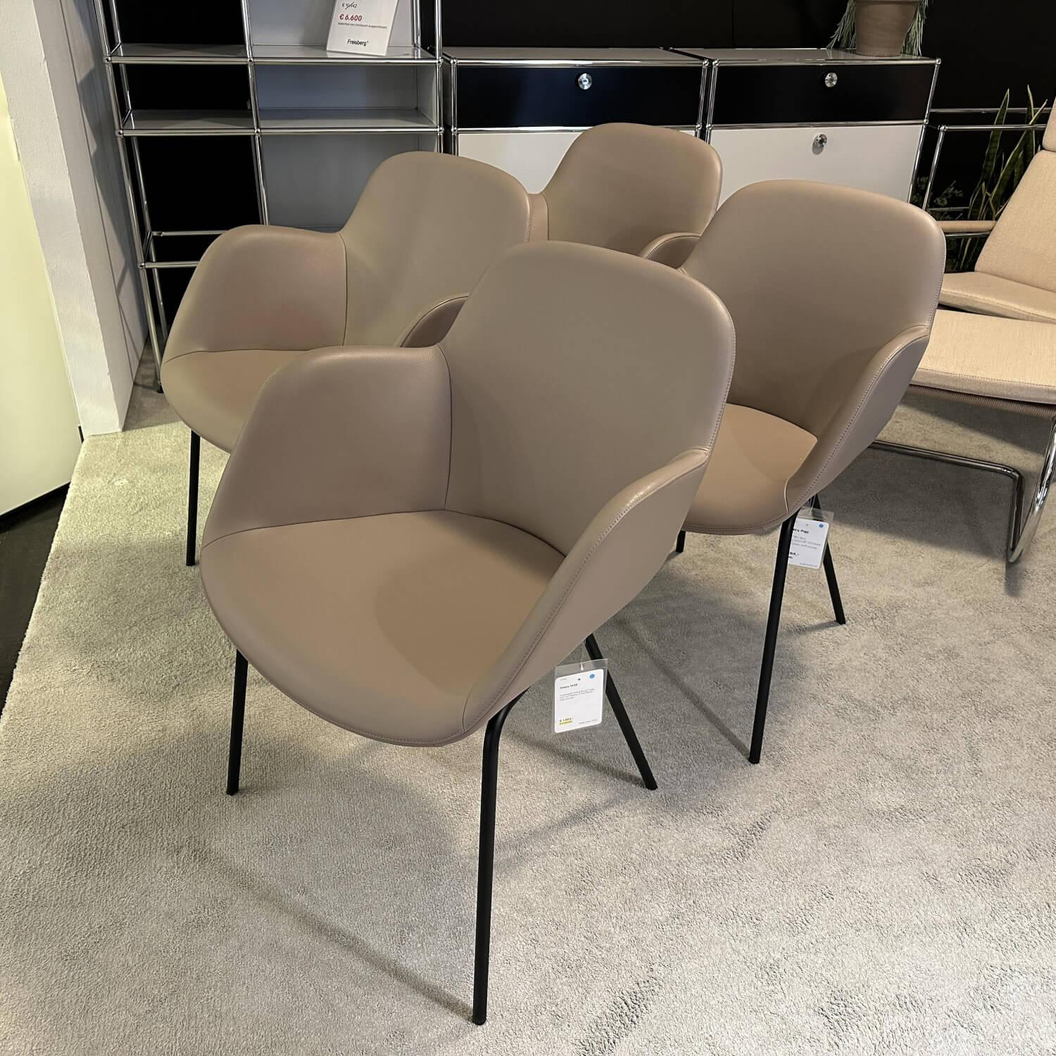 Walter Knoll - 4er-Set Armlehnstuhl Sheru Leder Rodeo Soft 1417 Pebble Beige Gestell Metall Matt Schwarz Mit Filzgleitern - 5