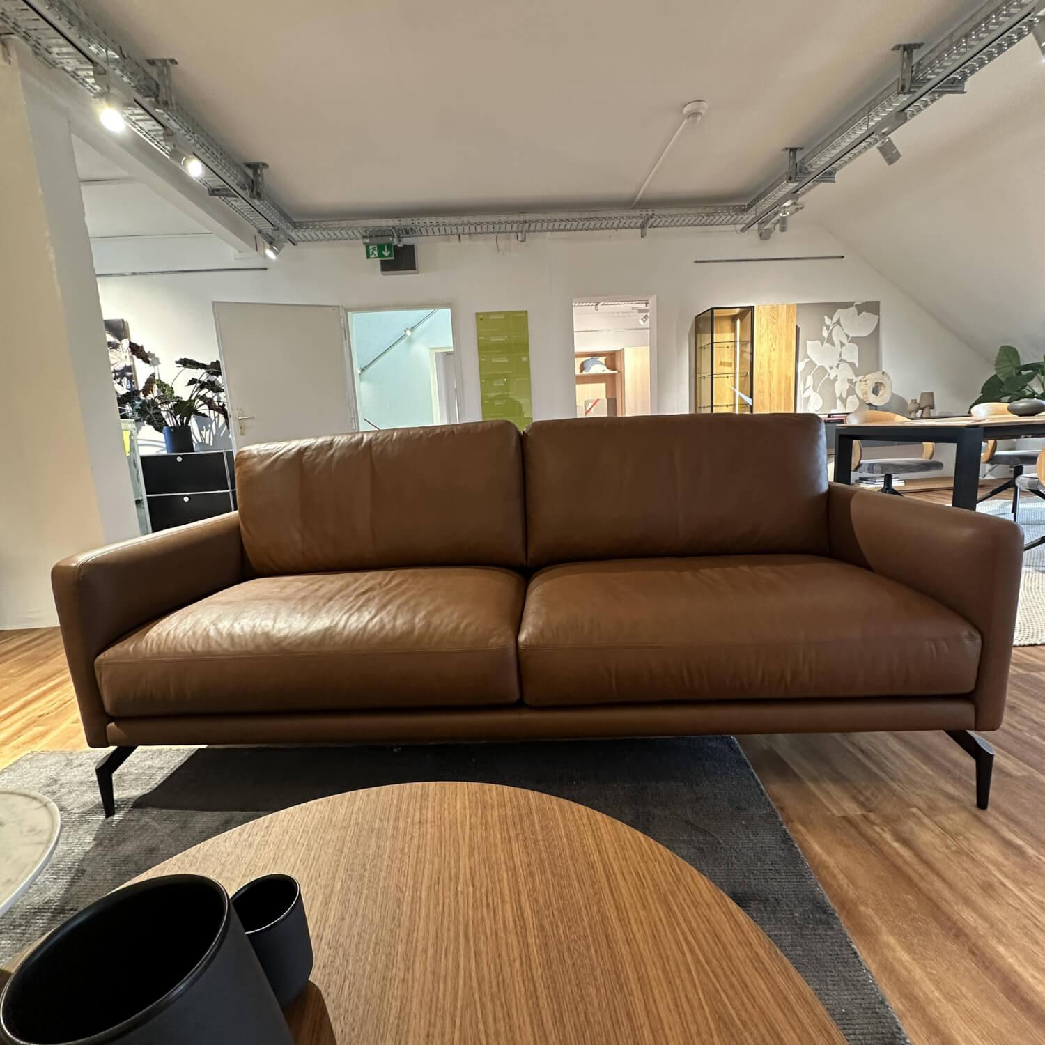 Contur - Sofa Cuneo Bezug Leder Anilina Touch 19 Cognac Braun Schwebefüße Metall Schwarz Lackiert - 8