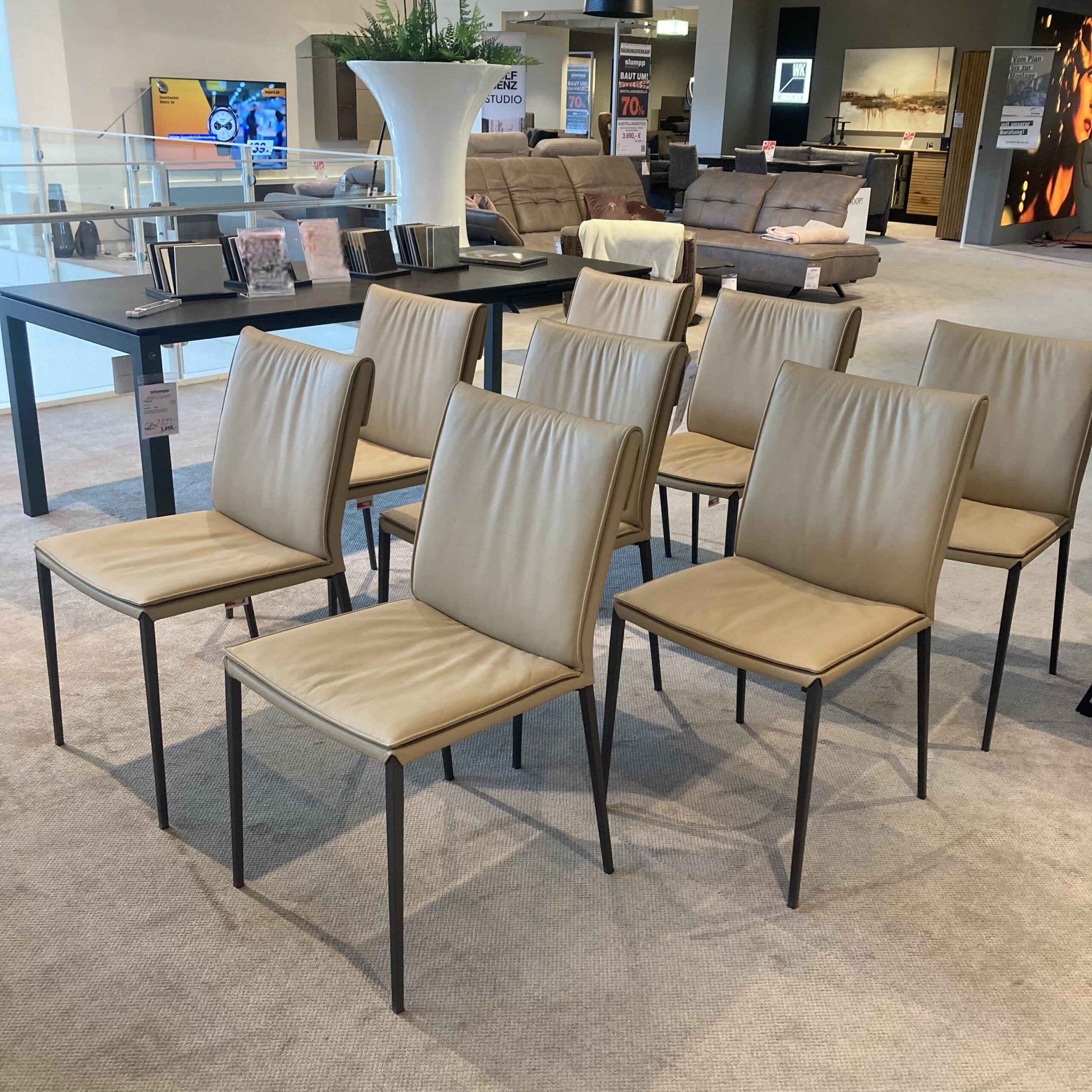 Cattelan Italia - 8er Set Stuhl Isabel Softleder Safari Beige Füße Metall Graphit Anthrazit Matt  - 3