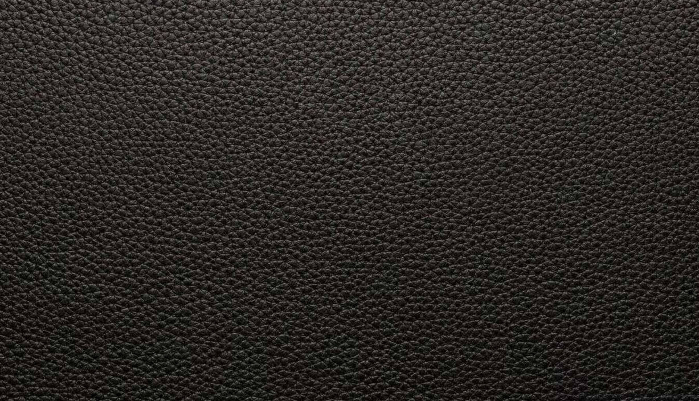 De Sede - Sofa DS-47 Leder Neck Cigarro 77 Braun - 7