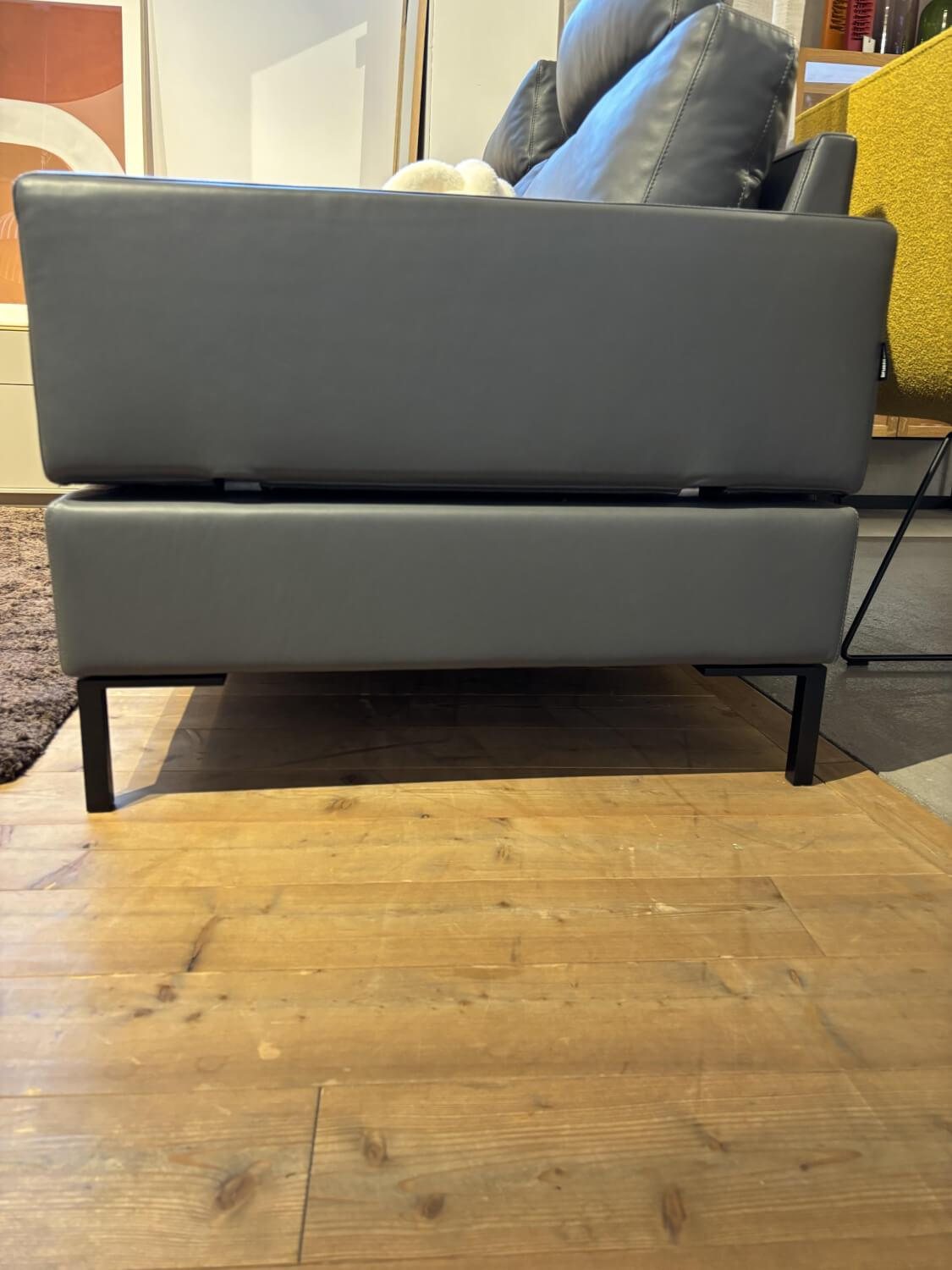 Brühl - Sofa Alba 2,5-Sitzer Leder Lama 95 Grau Winkelfuß Schwarz mit 2 Kissen - 4