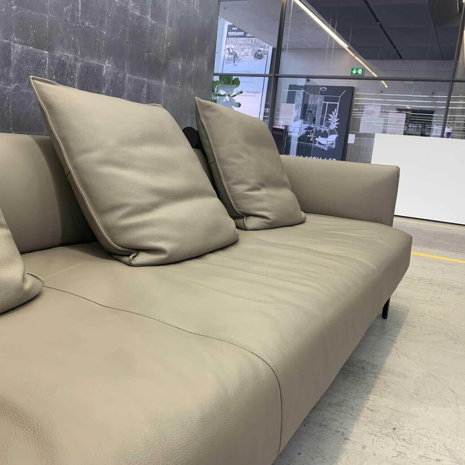 walter-knoll-sofa-muud-rodeo-soft-leder-1418-morel-matt-pulverbeschichtet-bronze-44ba86fb2497 Walter Knoll - Sofa Muud Rodeo-Soft Leder 1418 Morel Matt-Pulverbeschichtet Bronze - 3