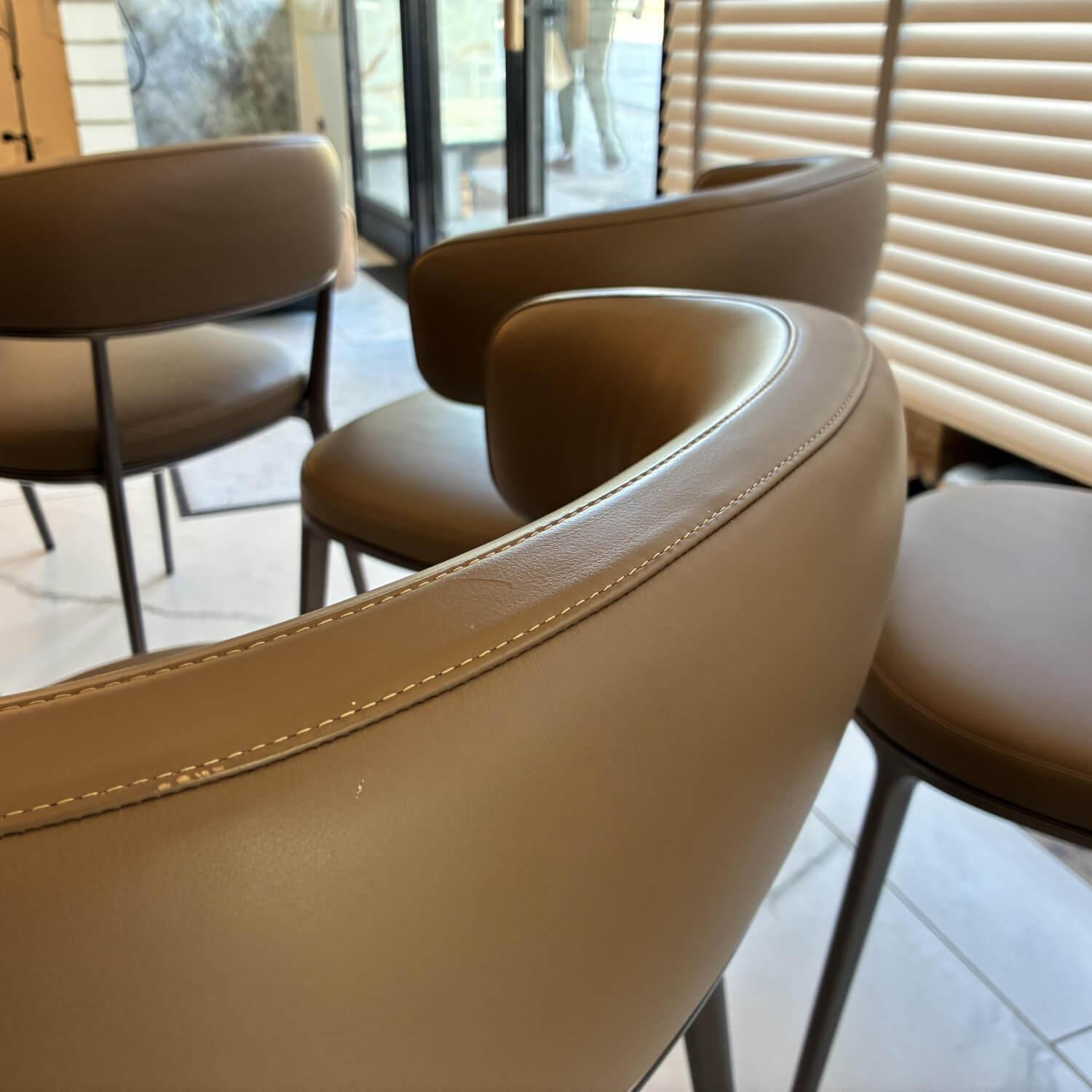 B&B Italia - 8er-Set Stuhl Caratos H73 Leder Gamma Tortora 1226280 Gestell Bernseteinfarben Lackiert - 6