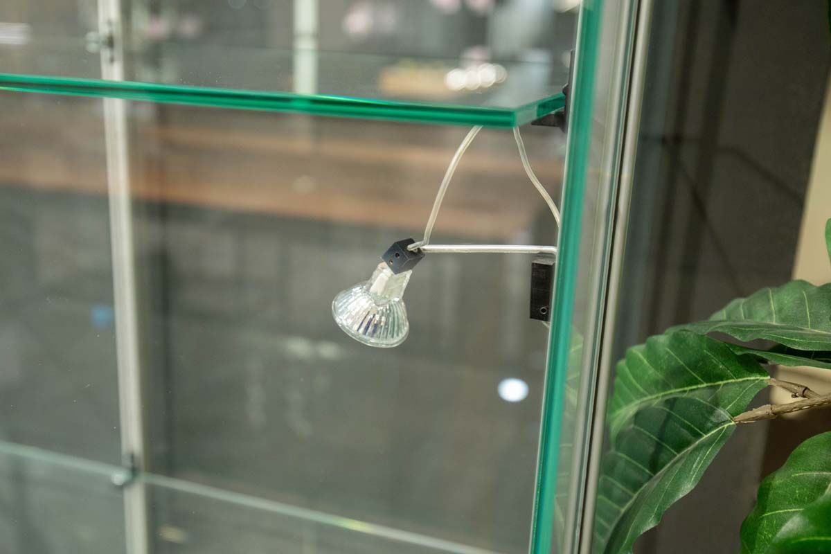 Team by Wellis - Glasvitrine E-Serie Doppelquader Hoch Klargals Mit Einlegeböden Und Spots - 3