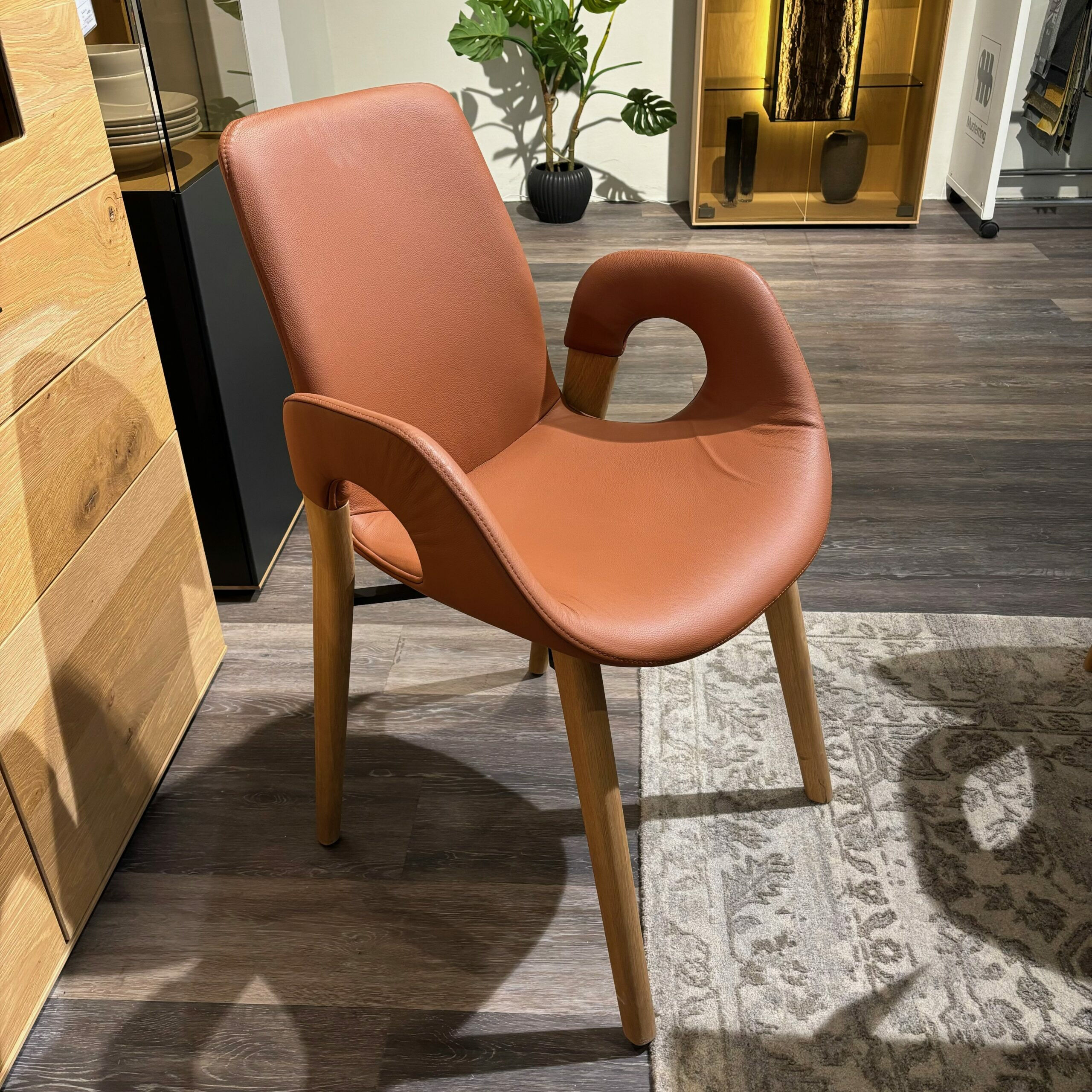 Hartmann - 6er-Set Harta Jasper Leder 22 Cognac Braun Kerneiche Umato - 2