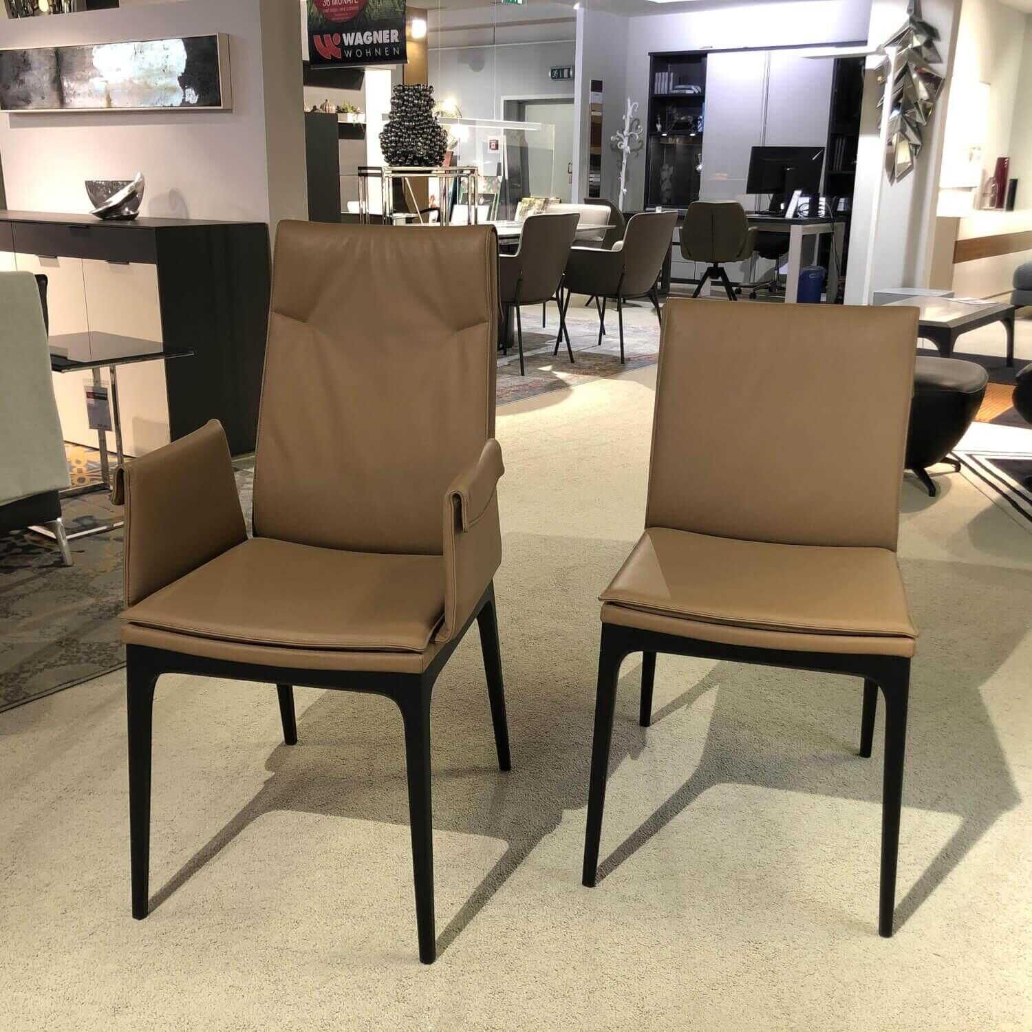 Cattelan Italia - 6er-Set Stuhl Sofia Leder 981 Biscotto Beige Füße Holz Schwarz Lackiert - 2