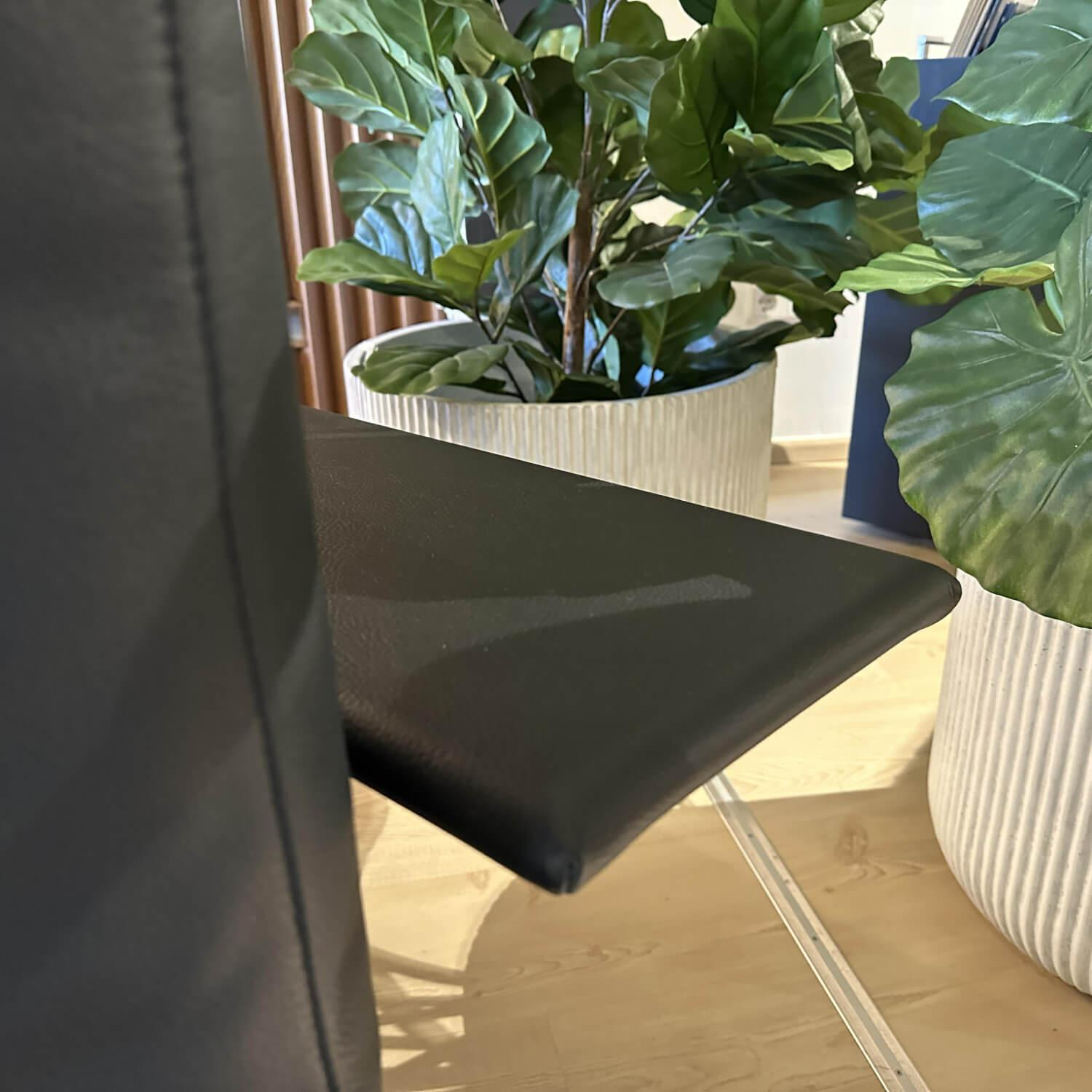 Bielefelder Werkstätten - Liege Campus De Luxe Leder Galaxy IP0140-000 Schwarz Inklusive Rückenkissen Und Nierenkissen - 3