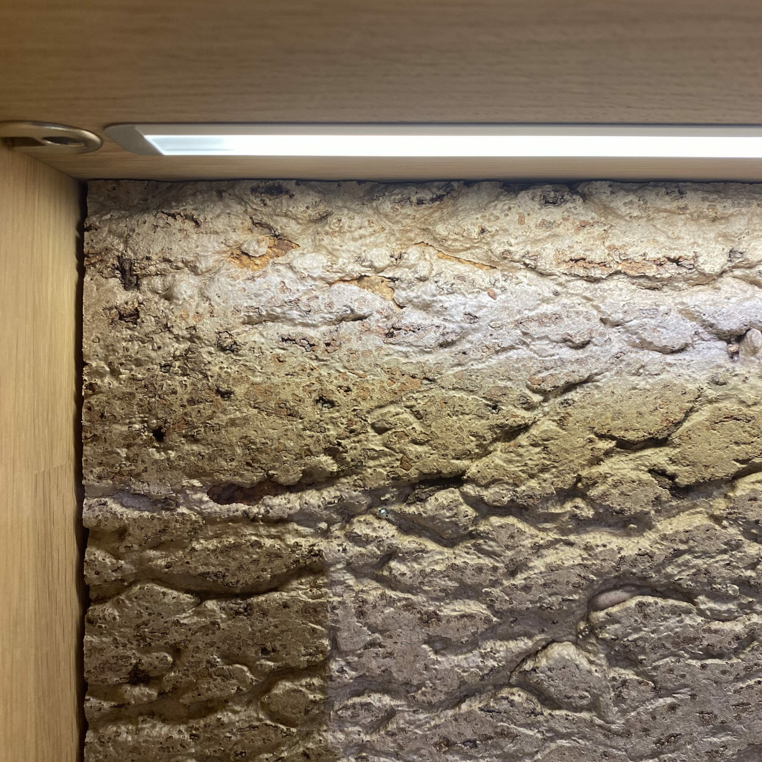 Natura - Vitrine Cartago Soft Wildeiche Bianco Glastür Links mit LED-Beleuchtung - 4