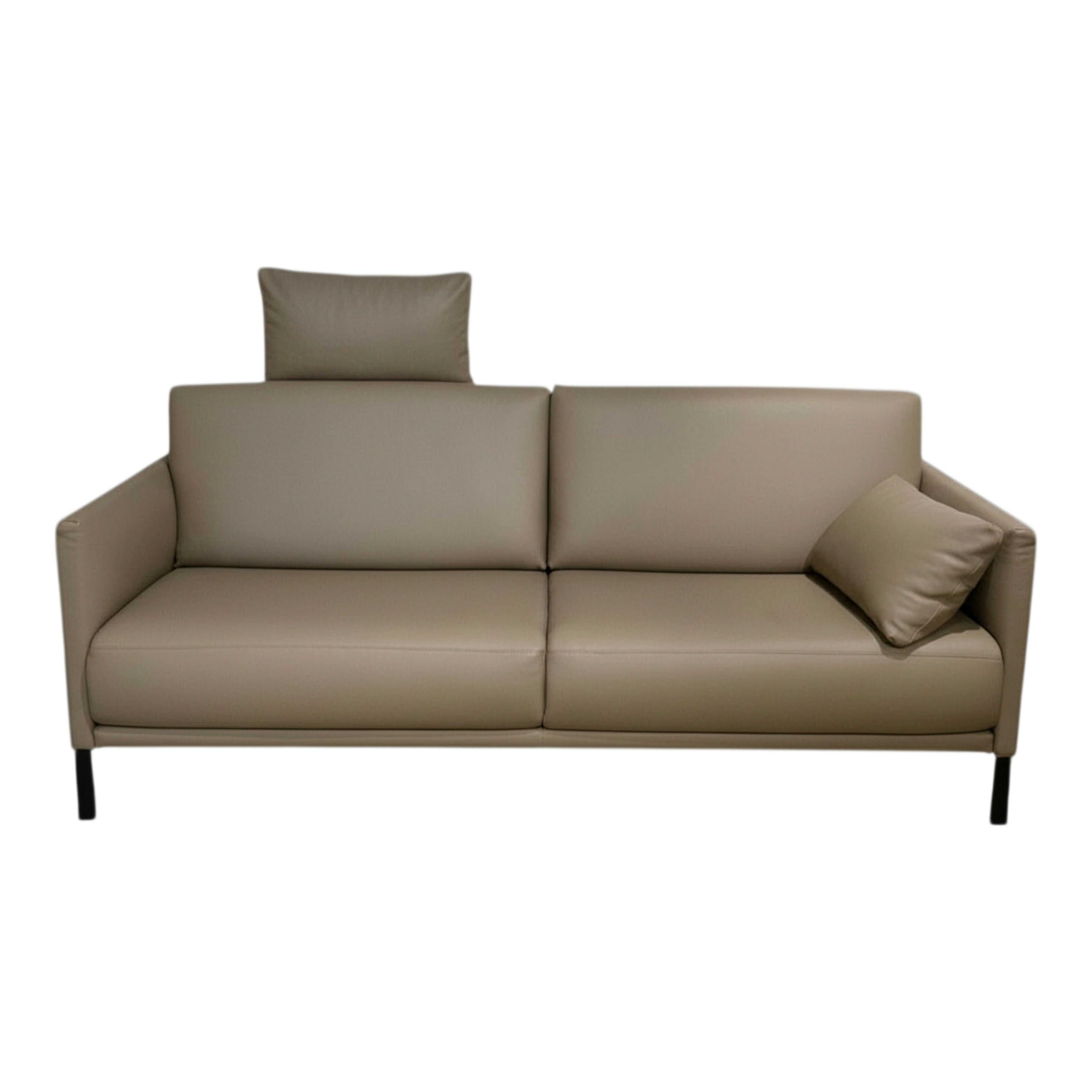 Rolf Benz - Sofa Cara Zweisitzer Leder 38.102 Beigegrau Gestell Stahl Schwarz - 1