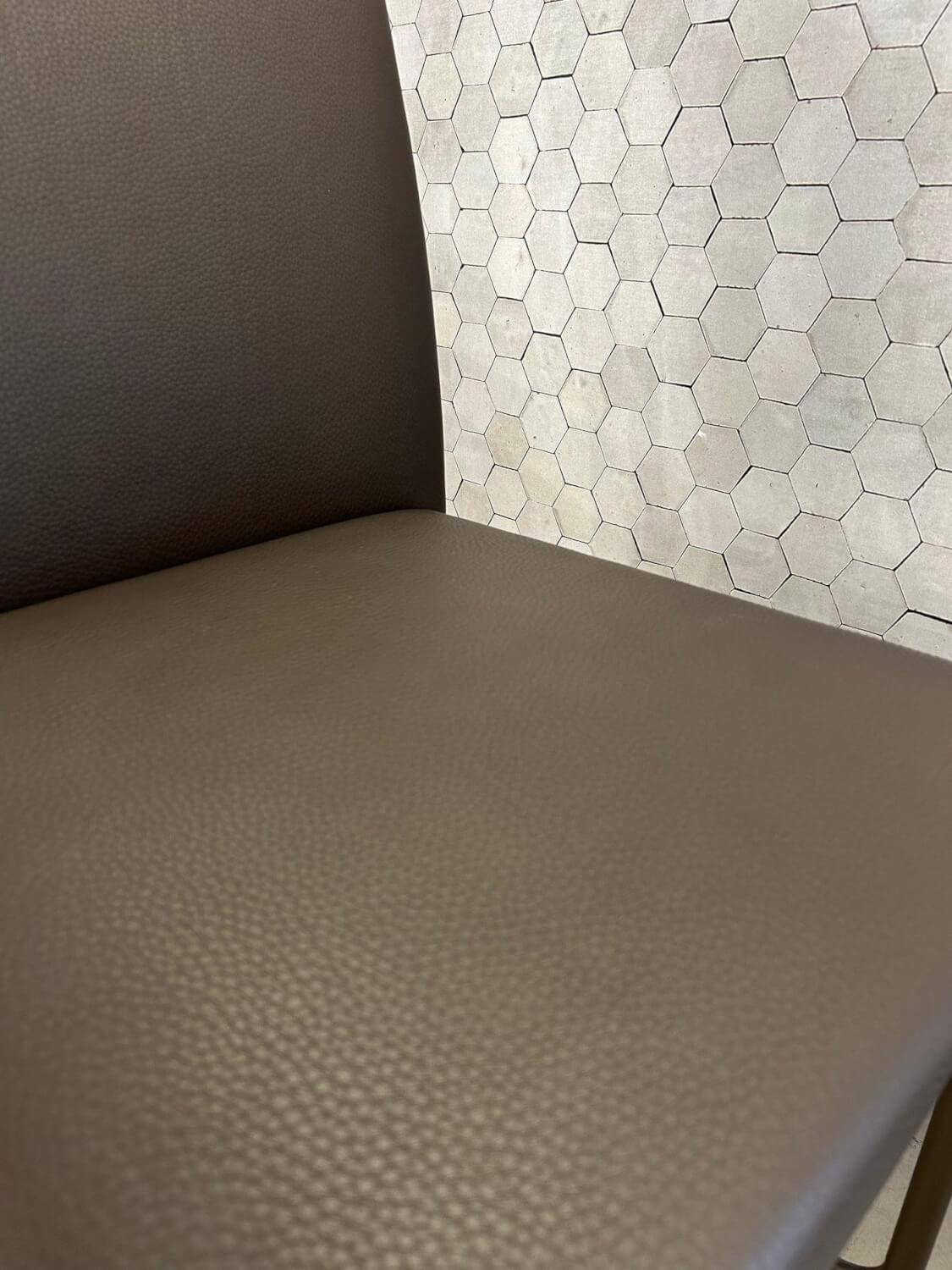 Walter Knoll - 6er Set Freischwinger Jason Lite 1900 Leder Safari 1376 Mocca Braun Gestell Bronze Schwarz Pulverbeschichtet - 7