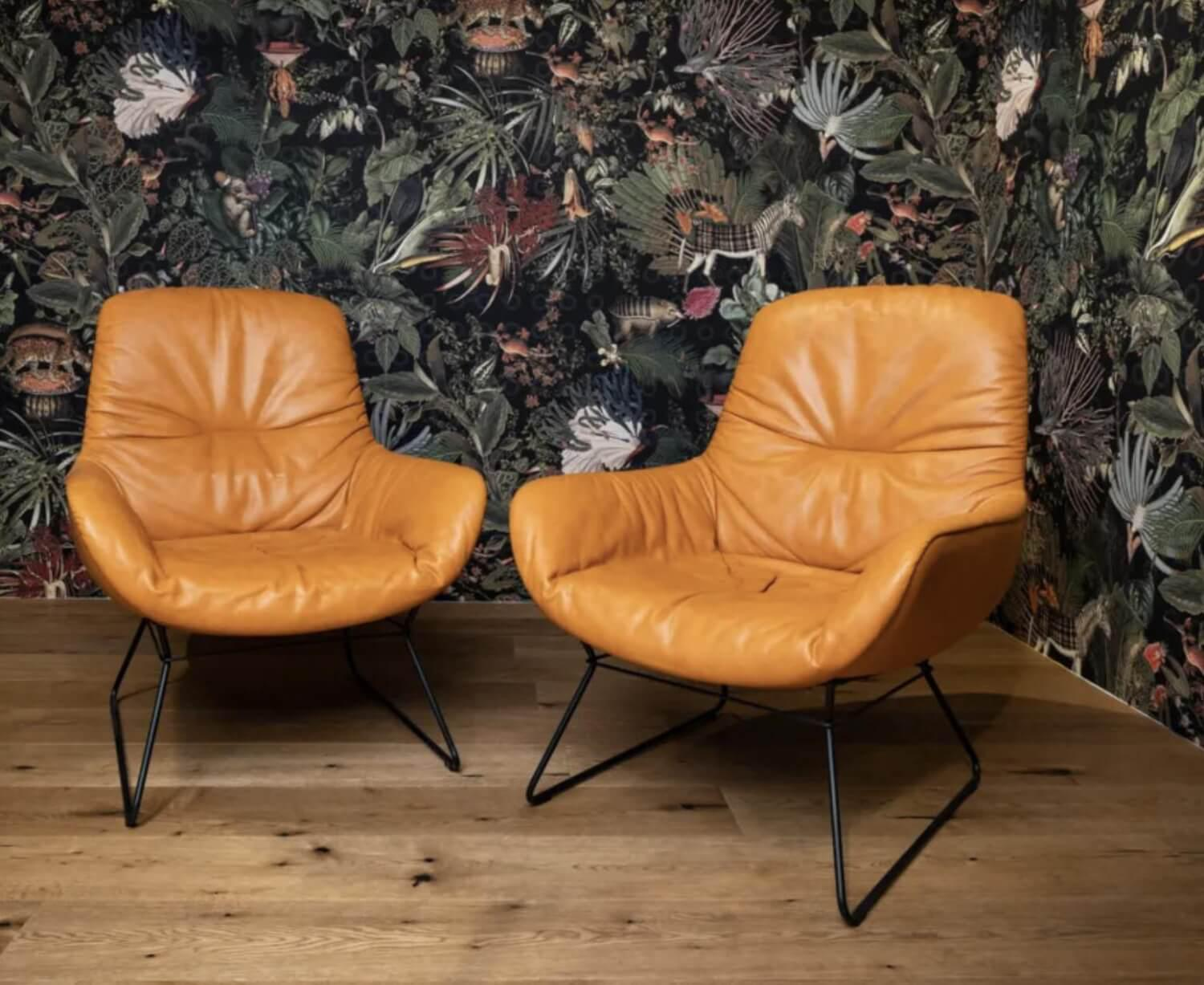 Freifrau - 2-er Set Leya Lounge Chair Leder Sahara Safran 60001 Orange Drahtgestell Schwarz - 4