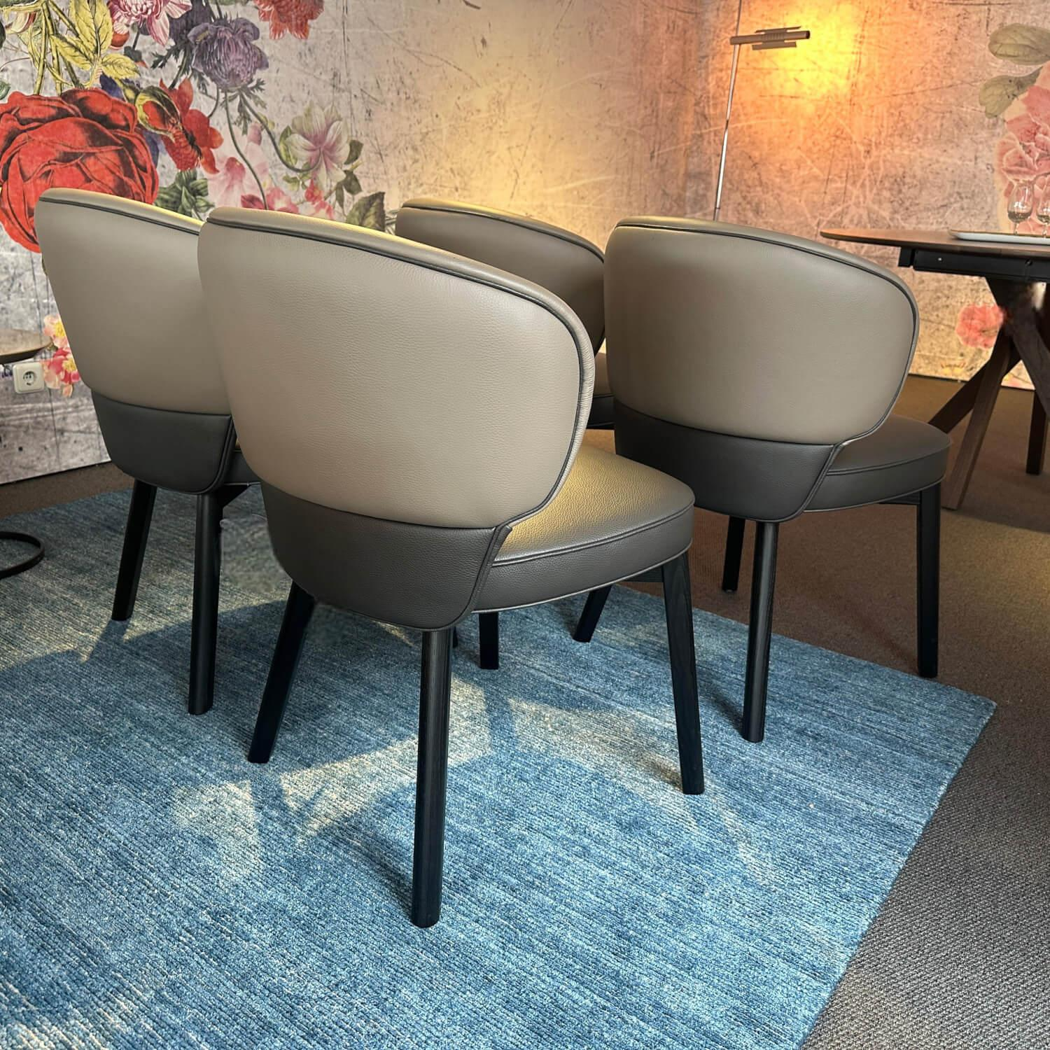 Wittmann - 4er Set Stuhl Morton 22194 Leder Toro Taube Braun Grau Füße Esche Schwarz Lackiert - 2