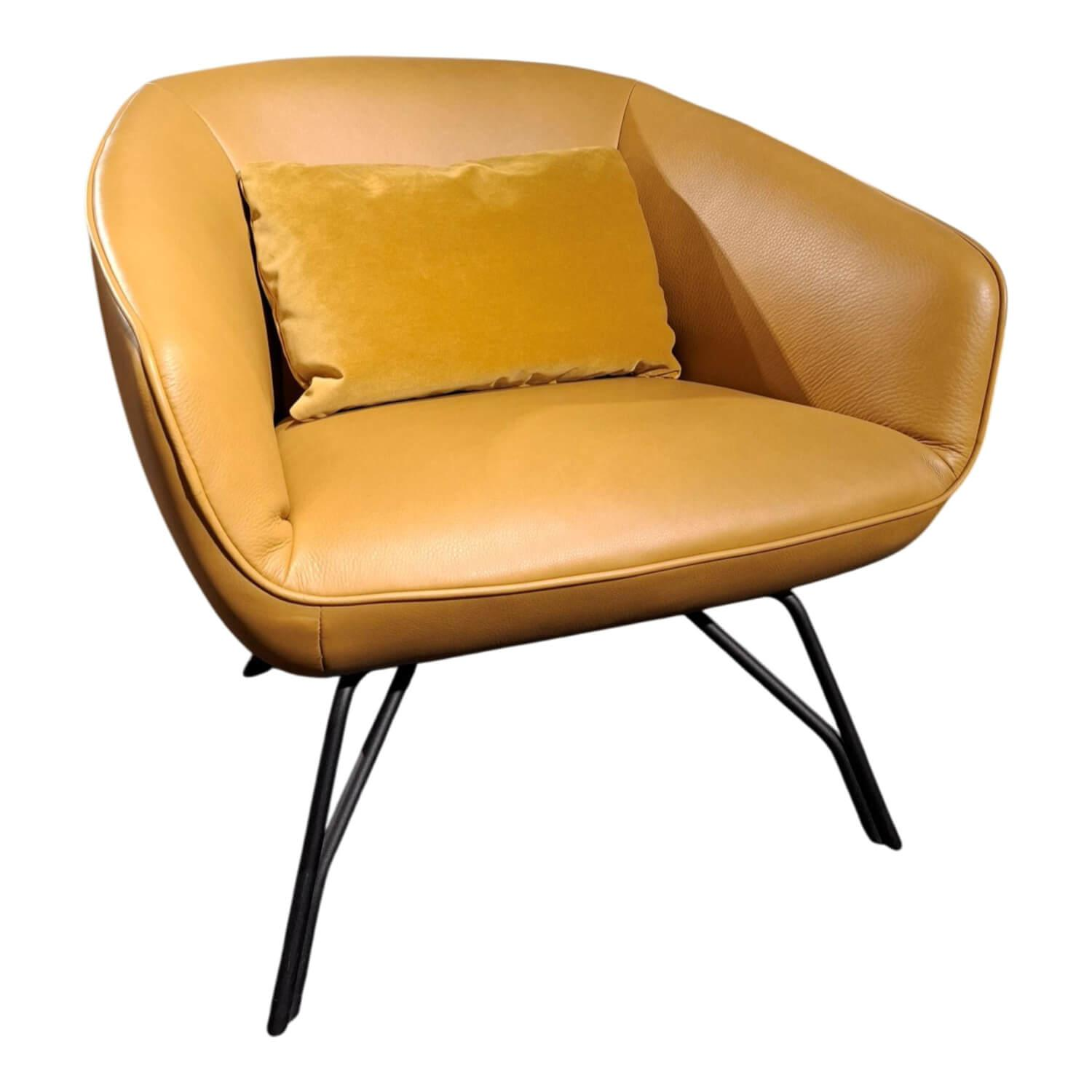 himolla - Sessel 7190 Leder Mariposa Spring Gelb Metallfuß Anthrazit - 1