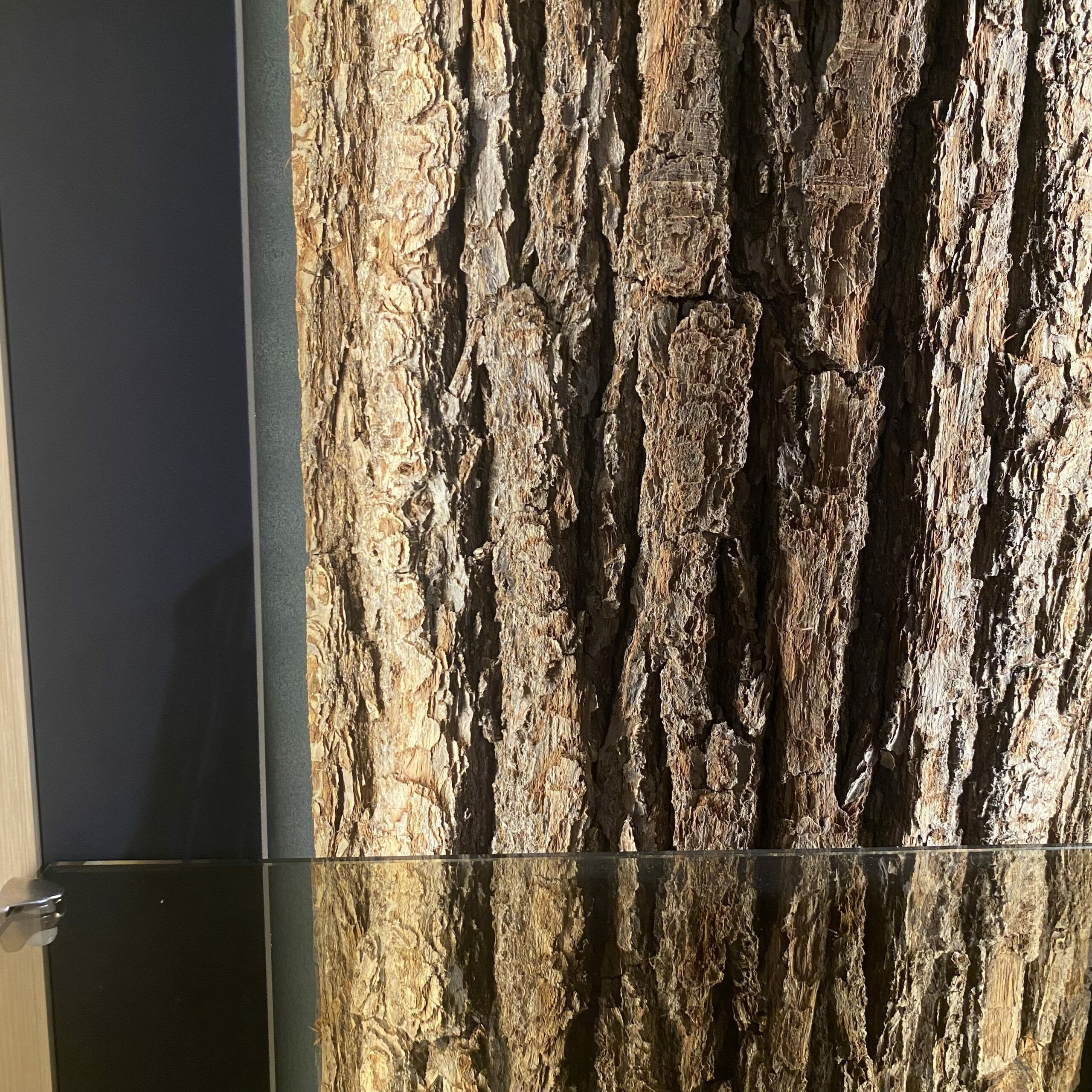 Hartmann - Vitrine Hajo Korpus Kerneiche Natur Gebürstet Verkleidung Metall Anthrazit Mit Beleuchtung - 4