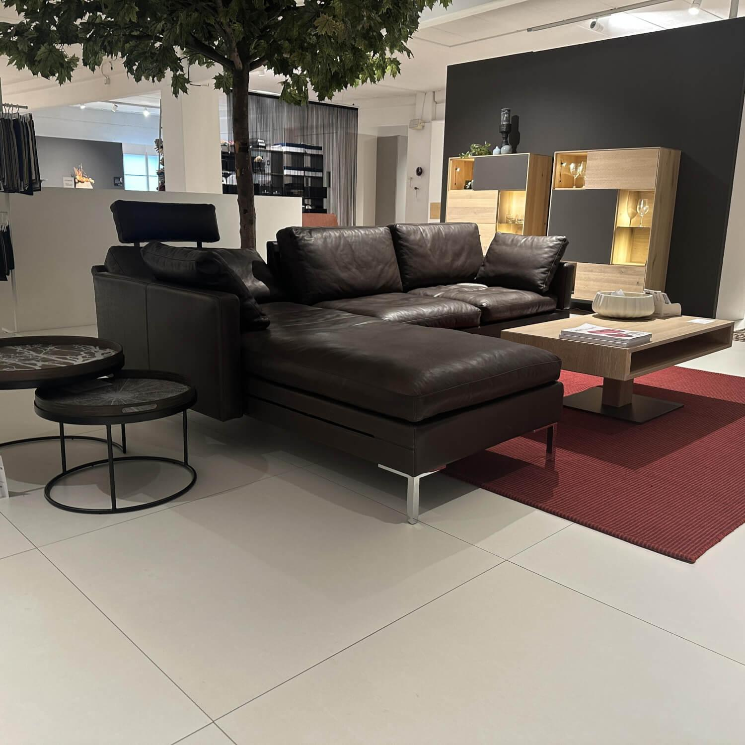 Brühl - Sofa Alba System M Leder 5669 0020 Lama Braun Winkelfuß Verchromt Glänzend Mit Kopfstützenbügel - 11