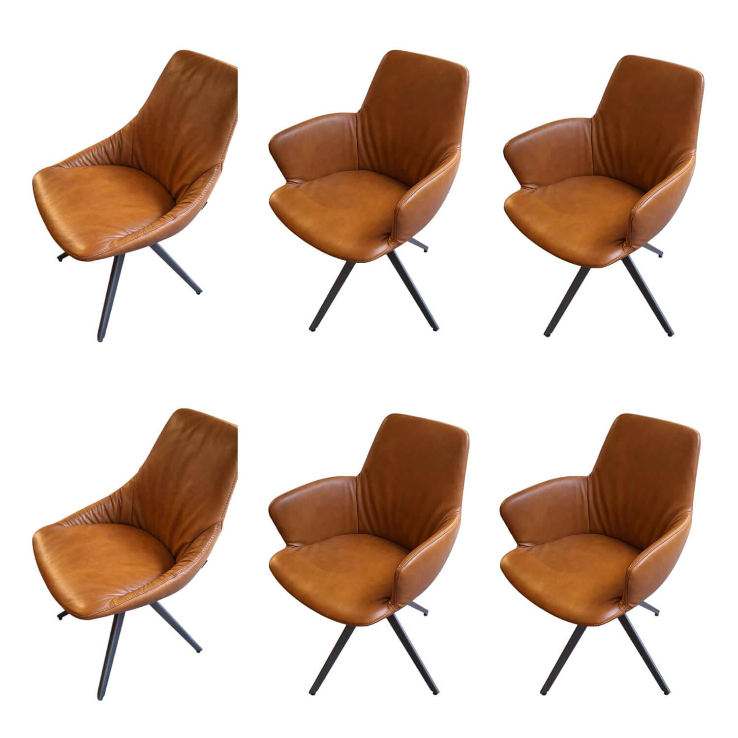 Bert Plantagie - 6er-Set Stuhl Maple Leder Bold Cognac Braun Metallgestell Anthrazit - 1