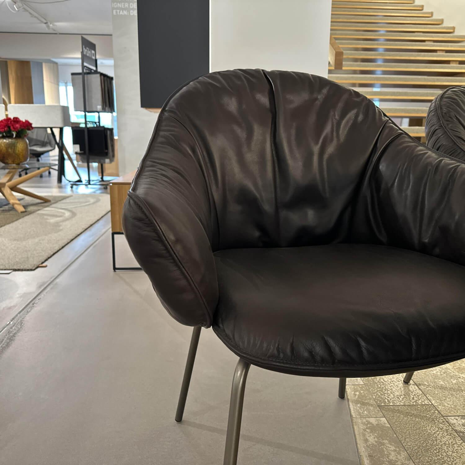 Freifrau - 6er Set Armchair Marie Leder Adora Canelo 95007 Schwarz 4 Fuß Stahlgestell Bronze Lasur Schwarz - 4
