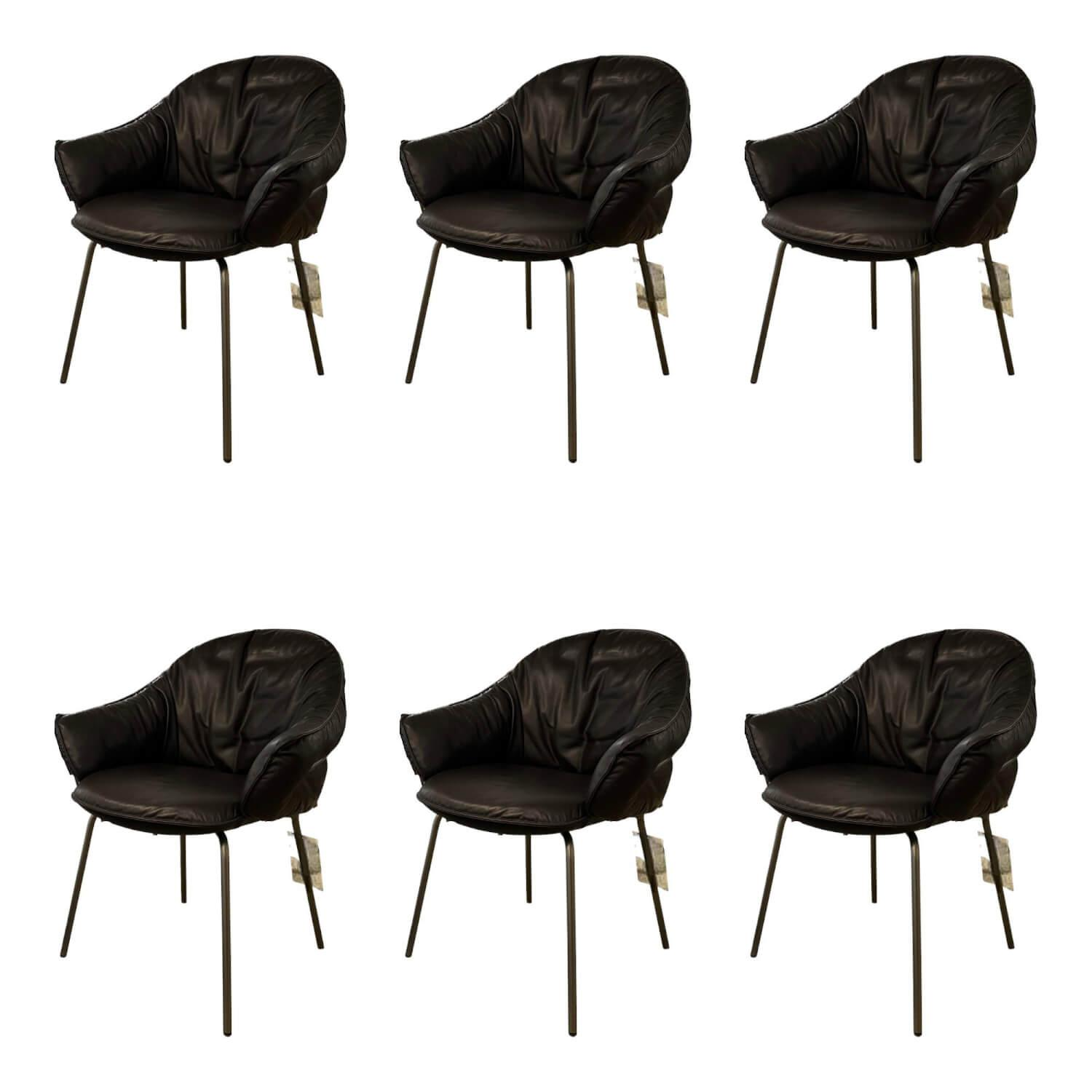 Freifrau - 6er Set Armchair Marie Leder Adora Canelo 95007 Schwarz 4 Fuß Stahlgestell Bronze Lasur Schwarz - 1