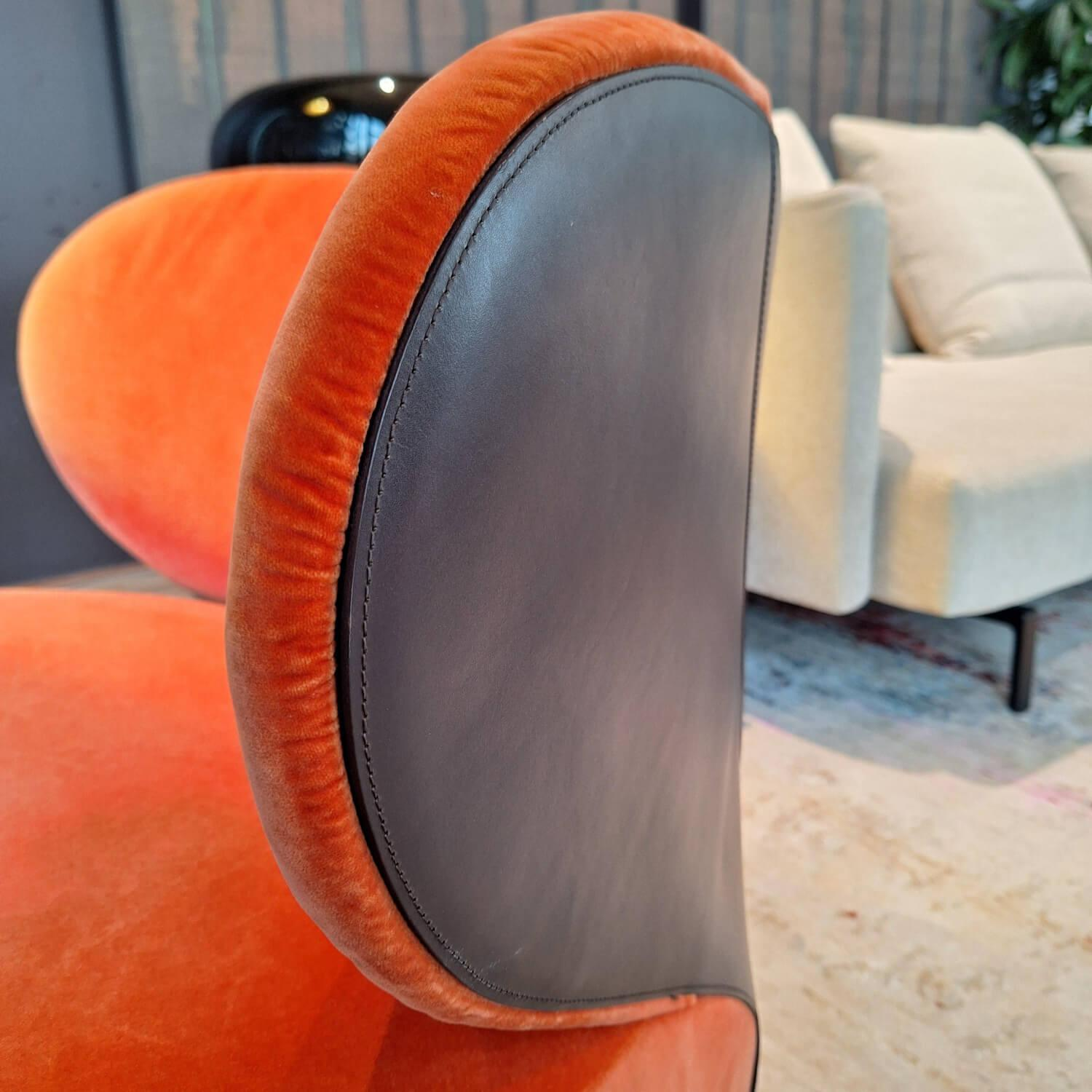 Walter Knoll - Sessel Bao Außen Leder Seddle Coffee Schwarz Innen Stoff Samt Harald Pumpkin Orange Drehteller Schwarz - 12