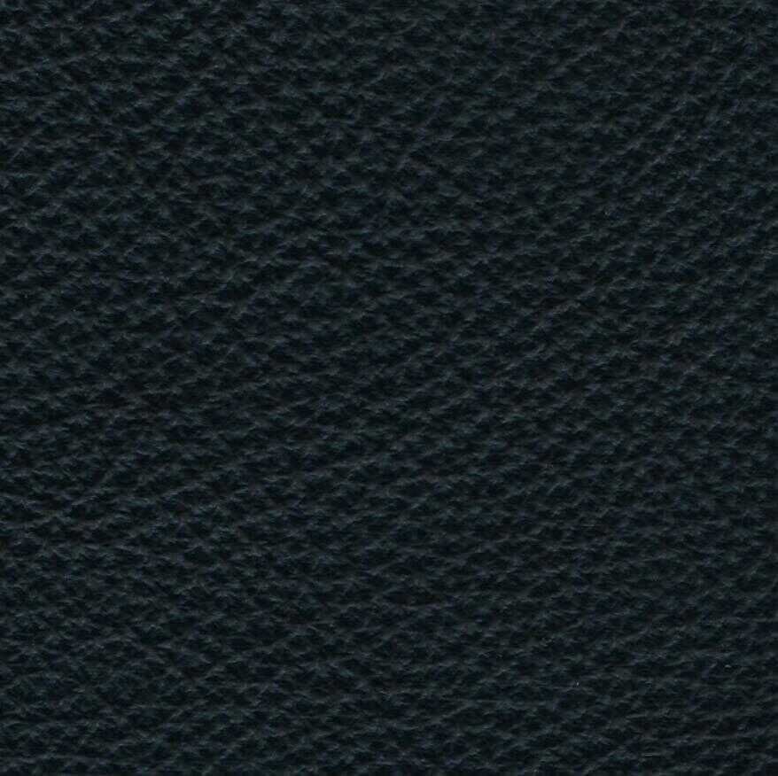 Brühl - Sofa Moule Small Leder Unit 542 Schwarz mit 2 Kissen - 8