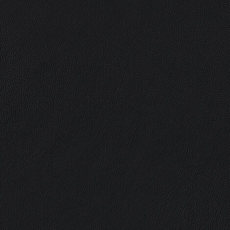 891153f6676bf9a42d15cf4c074f9e5eccc06517_csm_COR_Leder_200_286_schwarz_repro_V01.83553_62d142e180