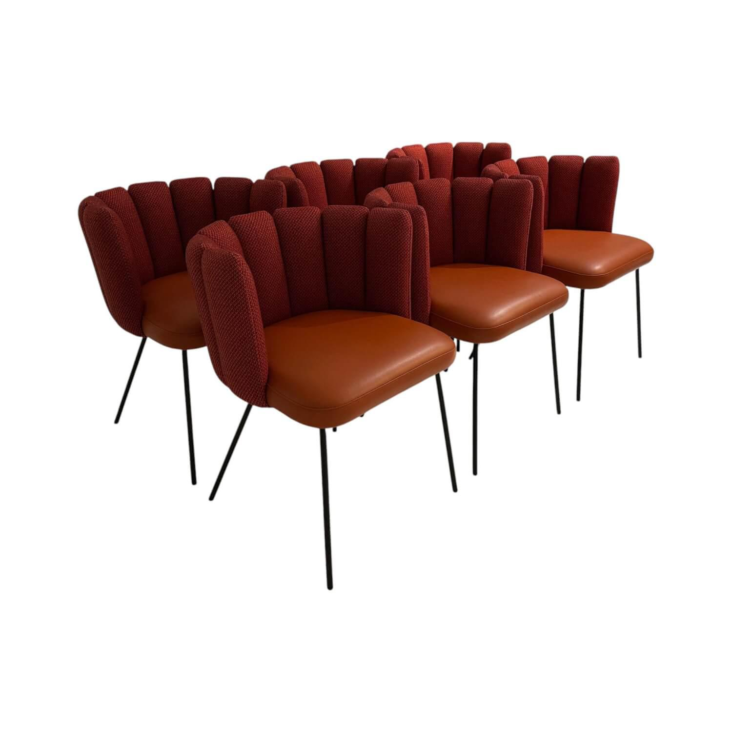 KFF - 6er Set Armlehnstuhl Gaia Rücken Stoff Rohi Cleo Lampion Rot Orange Sitz Leder Sauvage Terracotta Rot Gestell Schwarz - 1